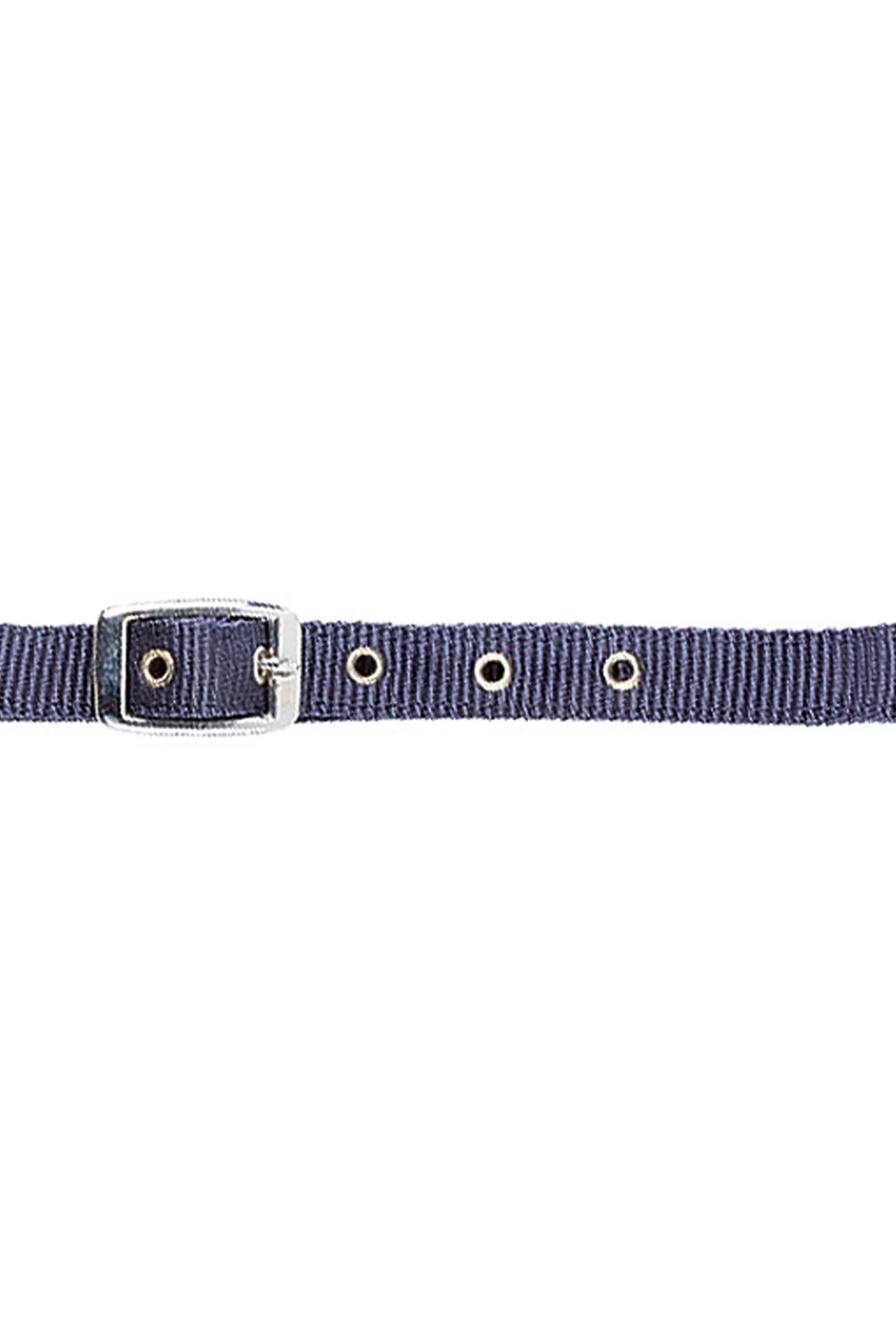 Adjustable Foal Halter Navy Foal