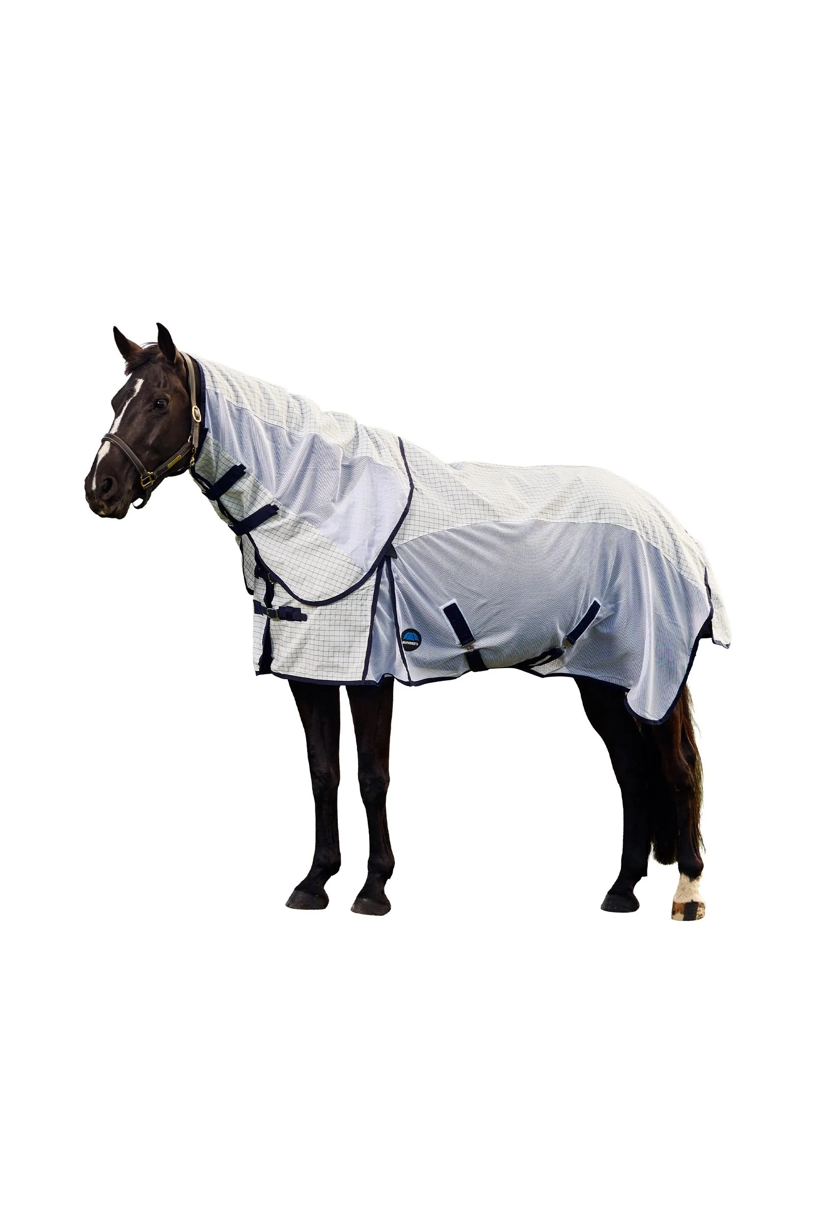 Airstream Combo W. Fixed Neck, 0g White/Navy 145