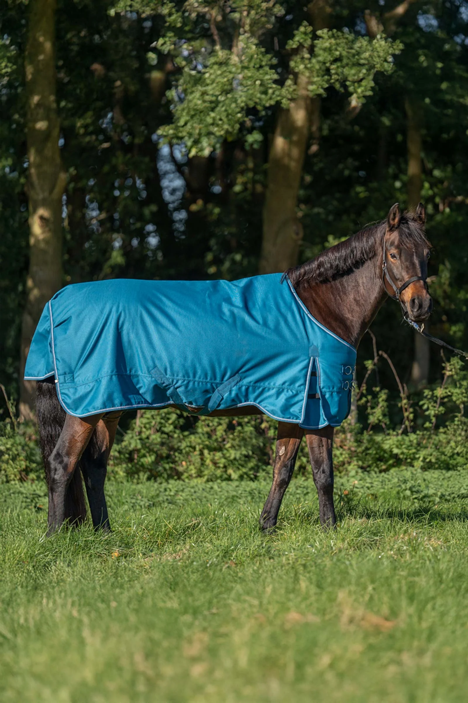 Alaska IV Turnout Rug, 100 g Petrol/Petrol-Bordeaux-White 125