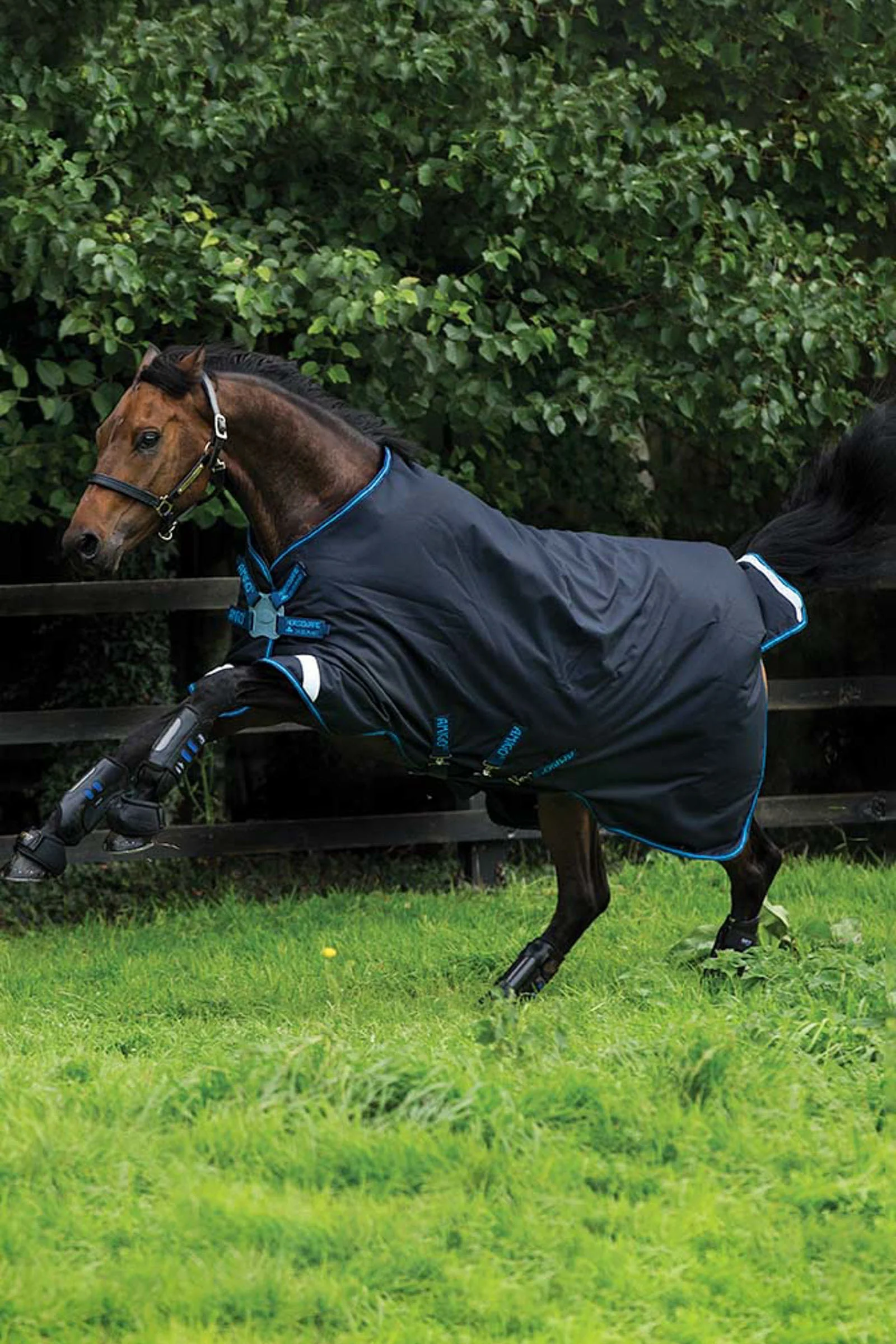 Amigo Bravo 12 Disc Turnout Rug, 100g Dark Blue/Dark Blue/Electric Blue 165