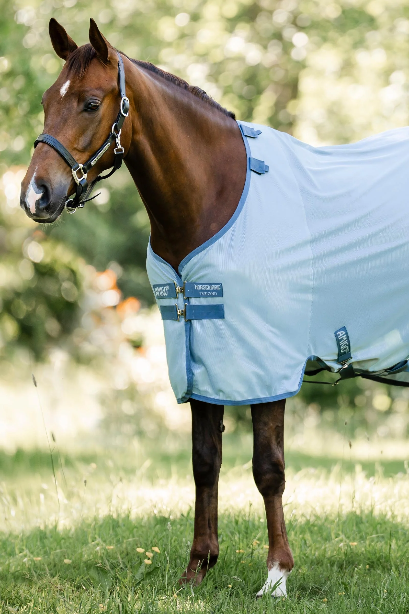 Amigo Bug Rug With UV-Protection Heather Blue/Blue & Silver 155