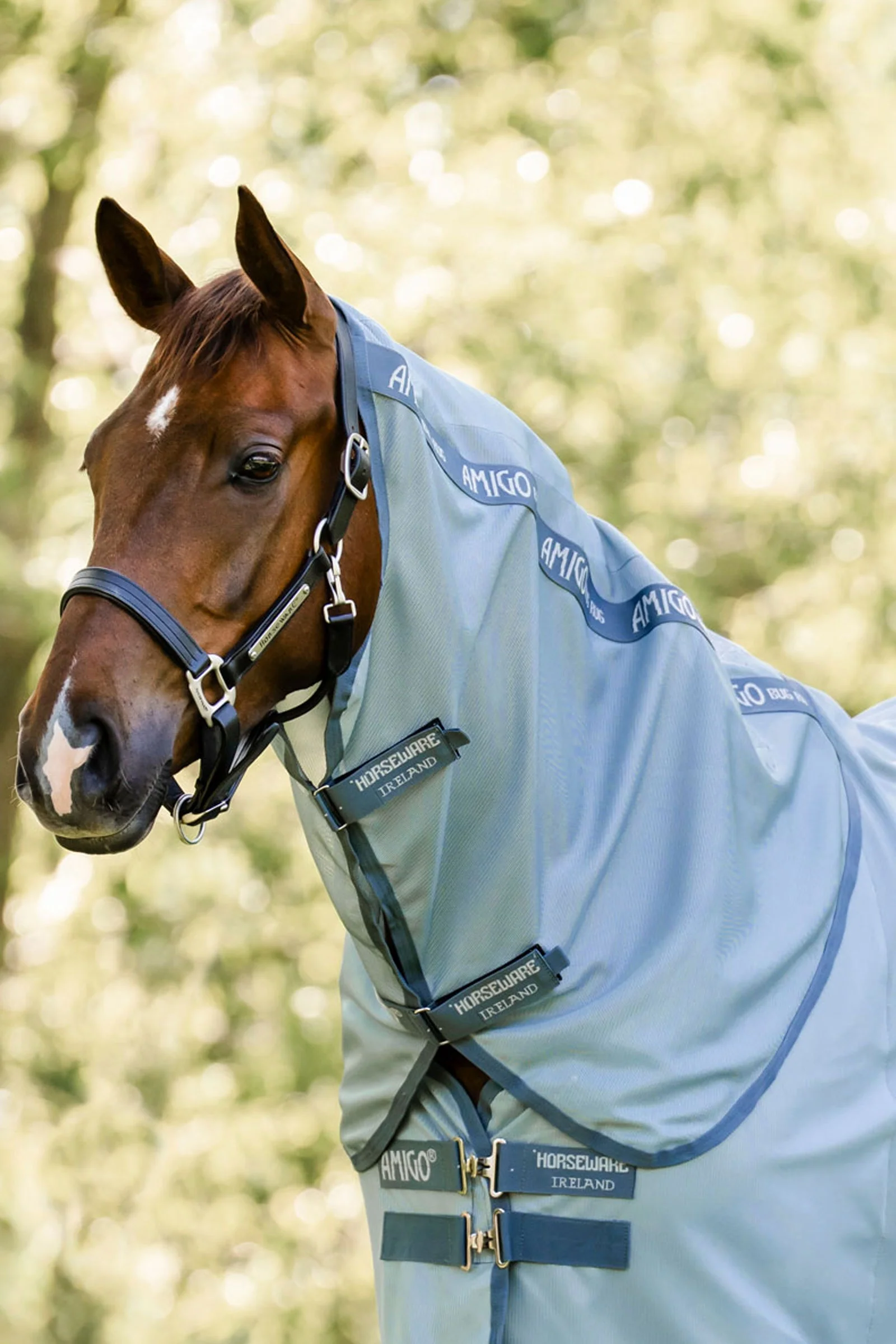 Amigo Neck Piece For Bug Rug, UV-Protection Heather Blue/Blue & Silver S