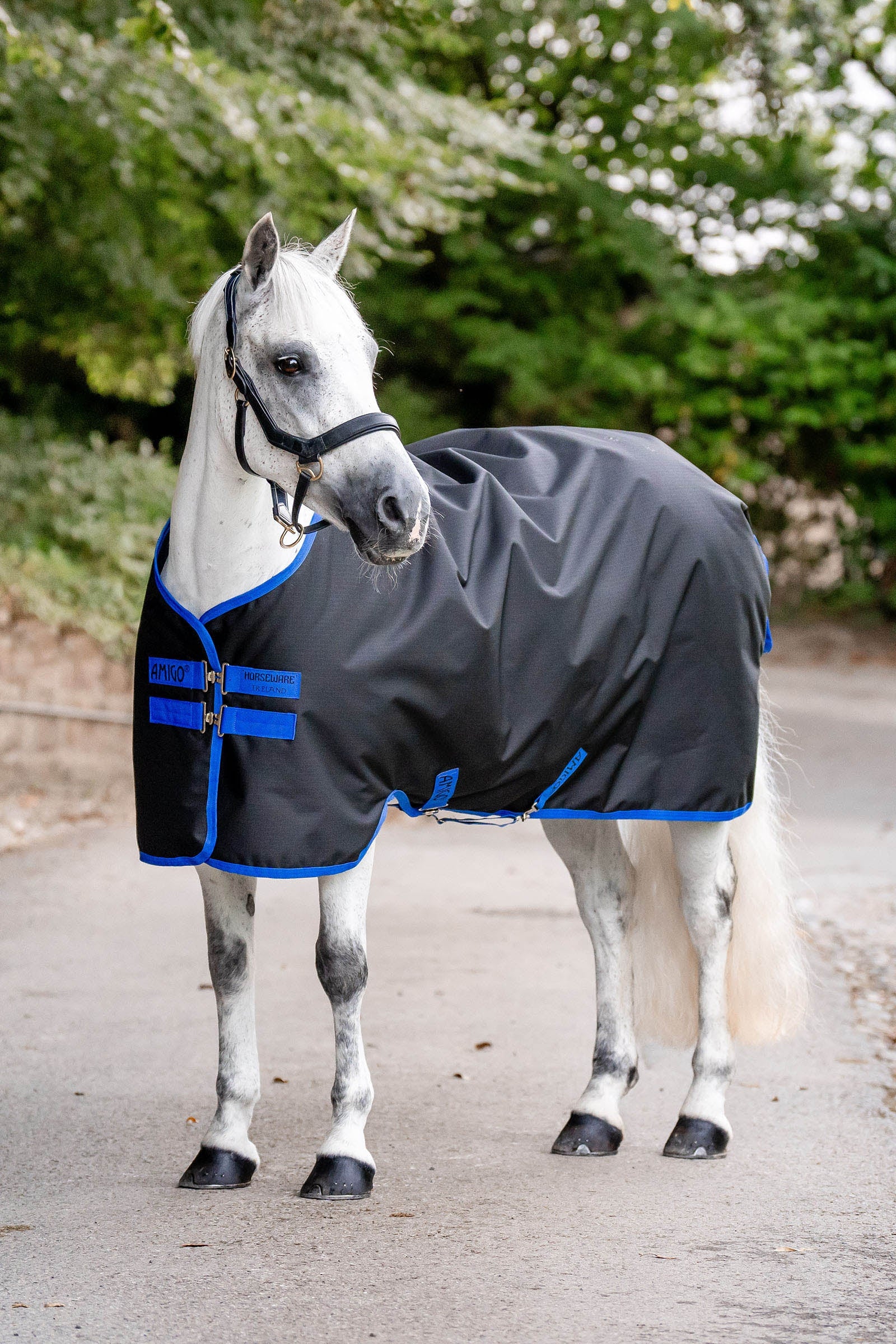 Amigo Ripstop 900D Turnout 0g Black/Classic Blue 145
