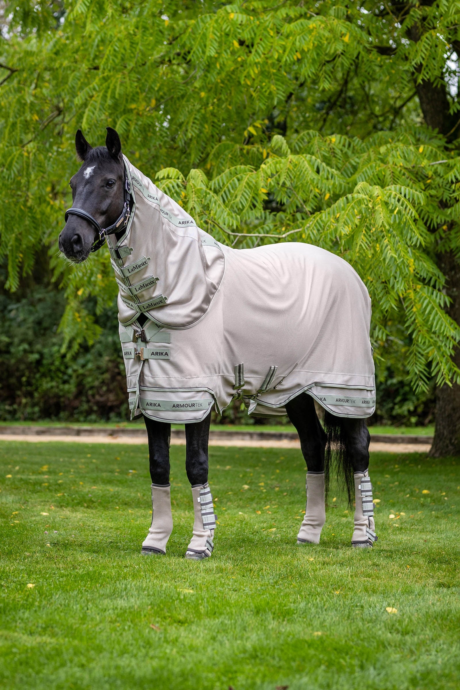 Arika Armour-Tek Fly Rug With Detachable Neck Stone / Fern 165
