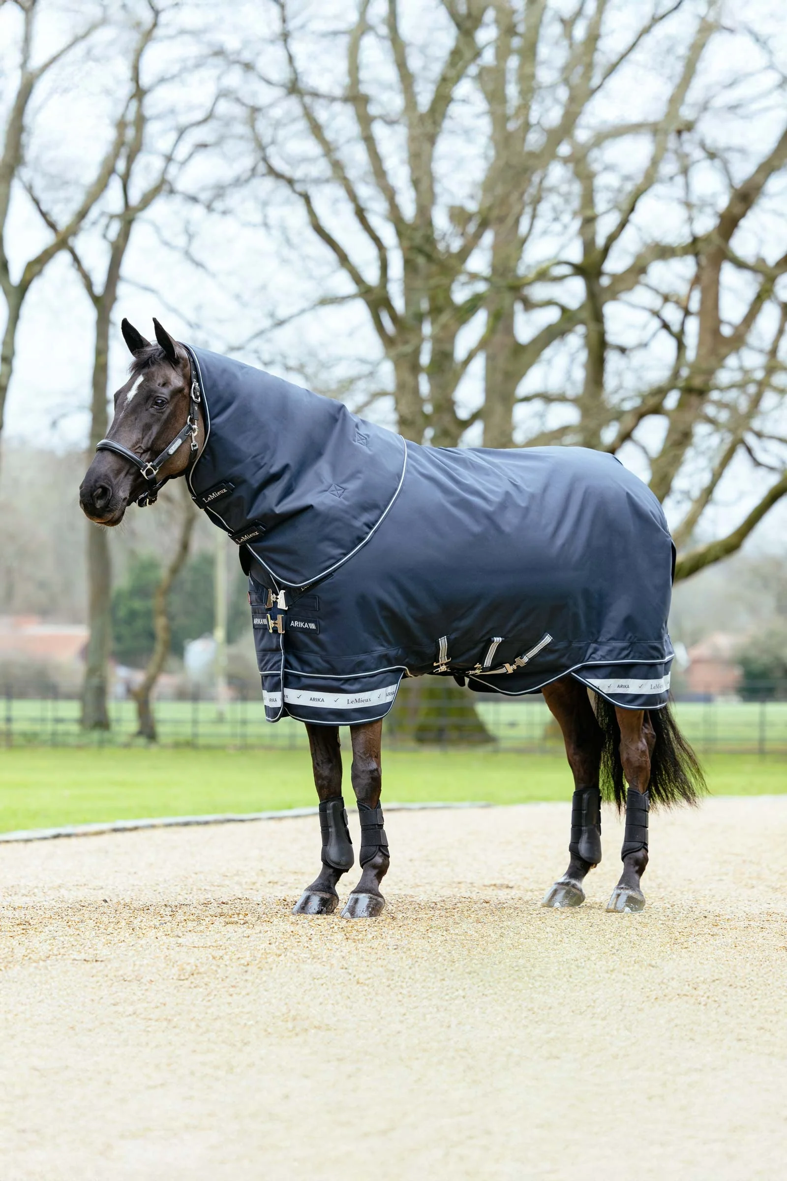 Arika Storm-Tek Turnout Rug With Detachable Neck, 100 g Navy 95