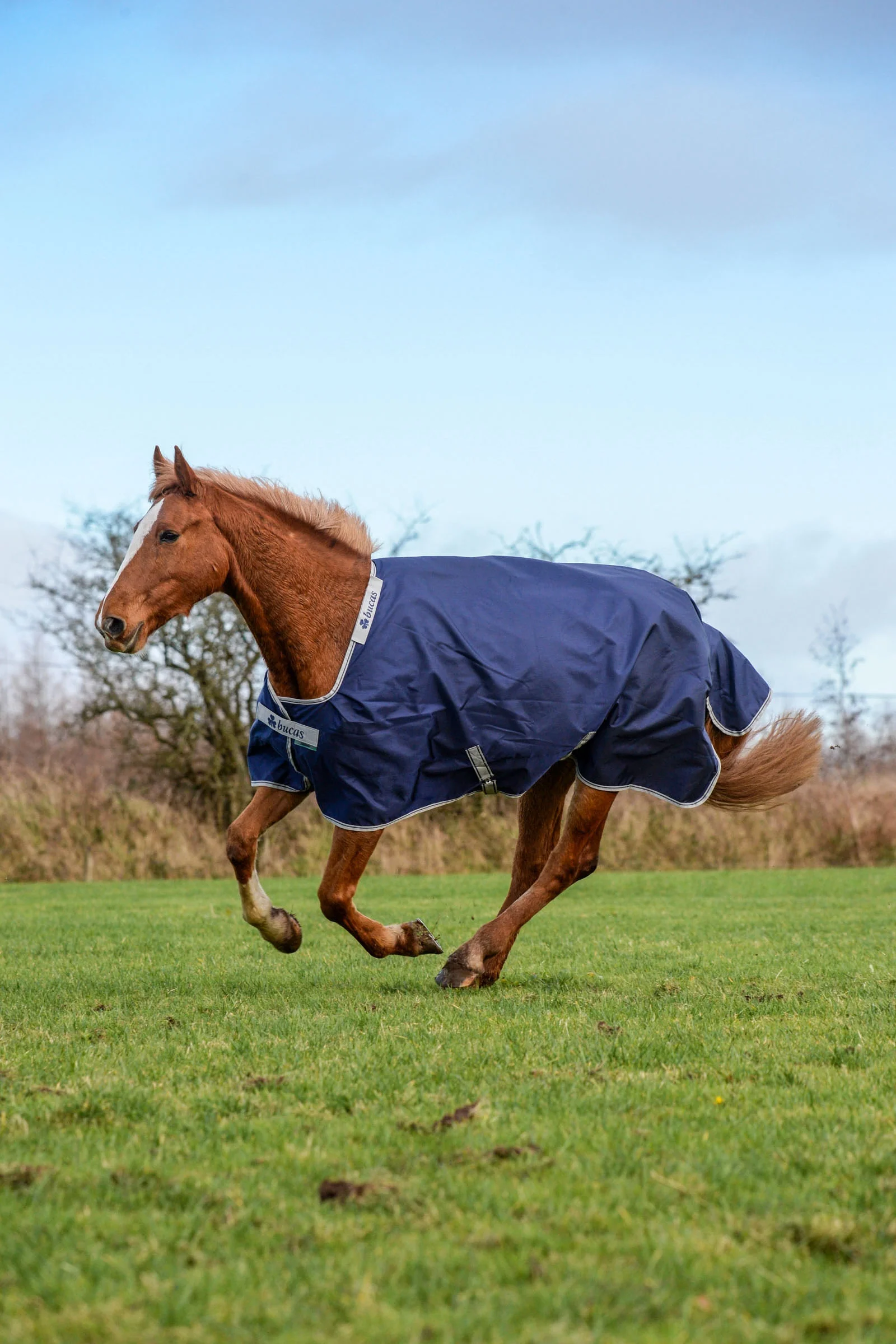 Atlantic Turnout Rug, 400g Dark Blue 130
