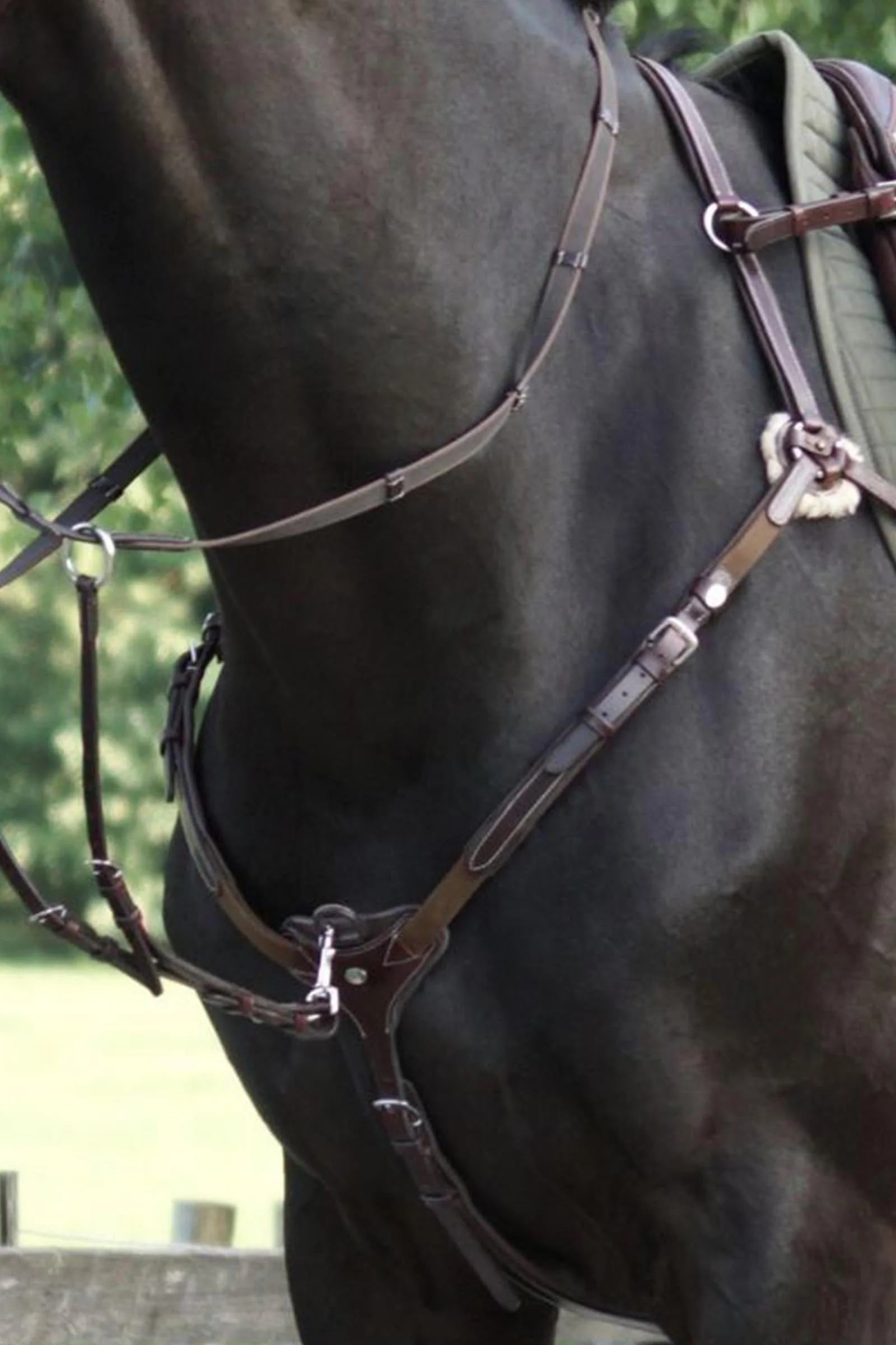 Bianca 5-Pt. Breastplate With Elastic Brown/Brown F
