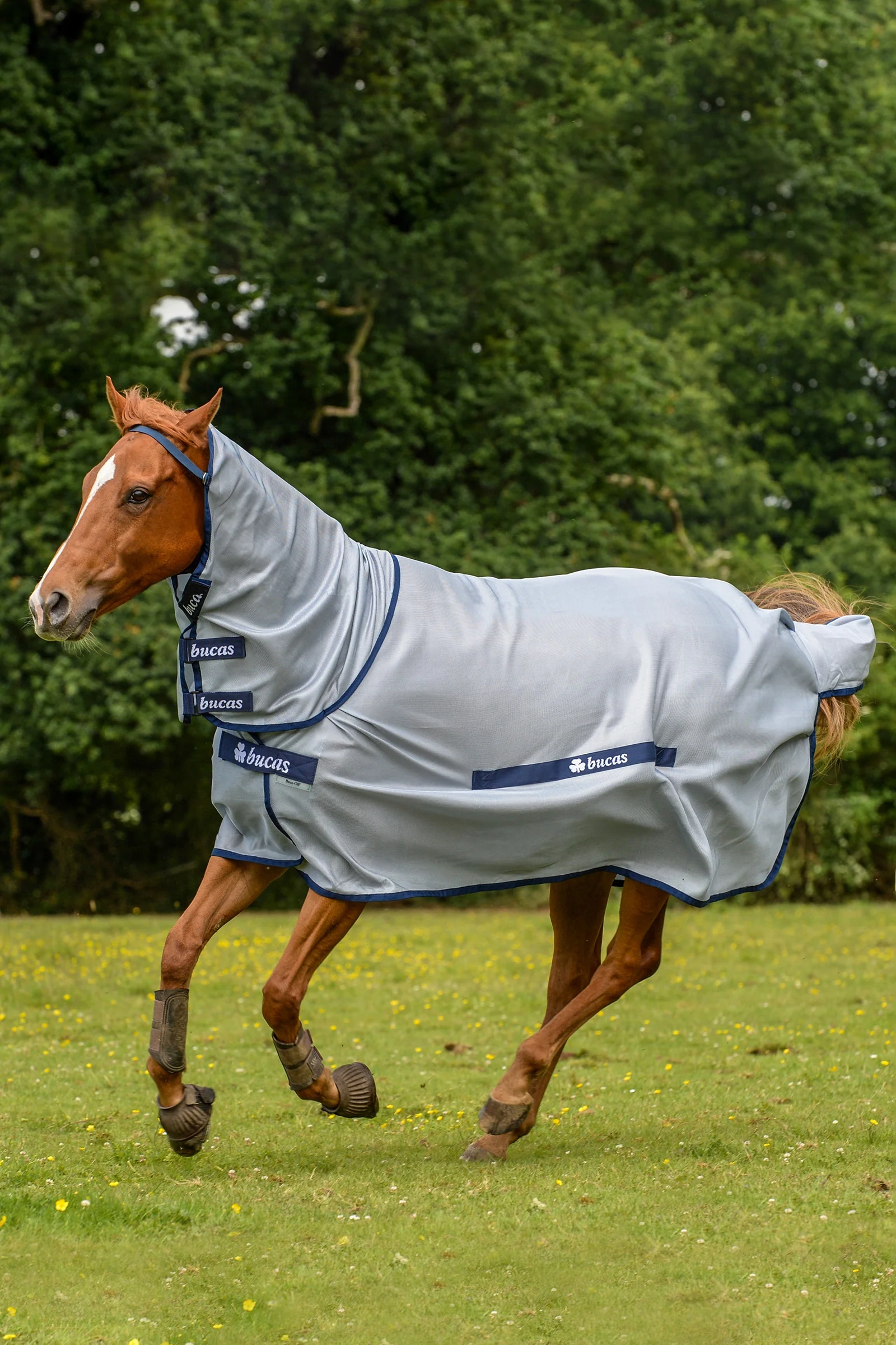 Buzz-Off Full Neck Fly Rug Pony with fixed Neck Silver/Blue 95