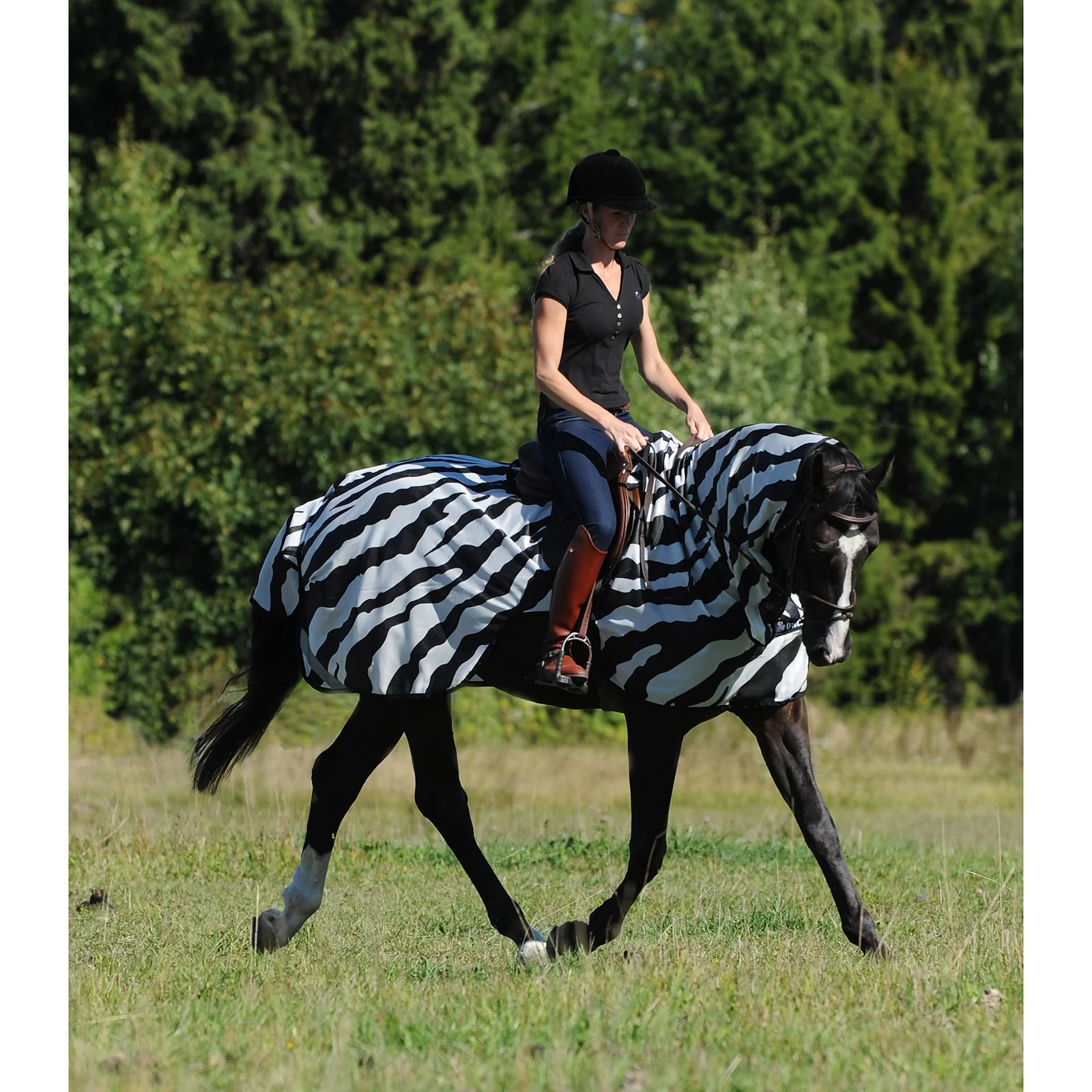 Buzz-Off Zebra Fly- and Riding Rug Black/White XL