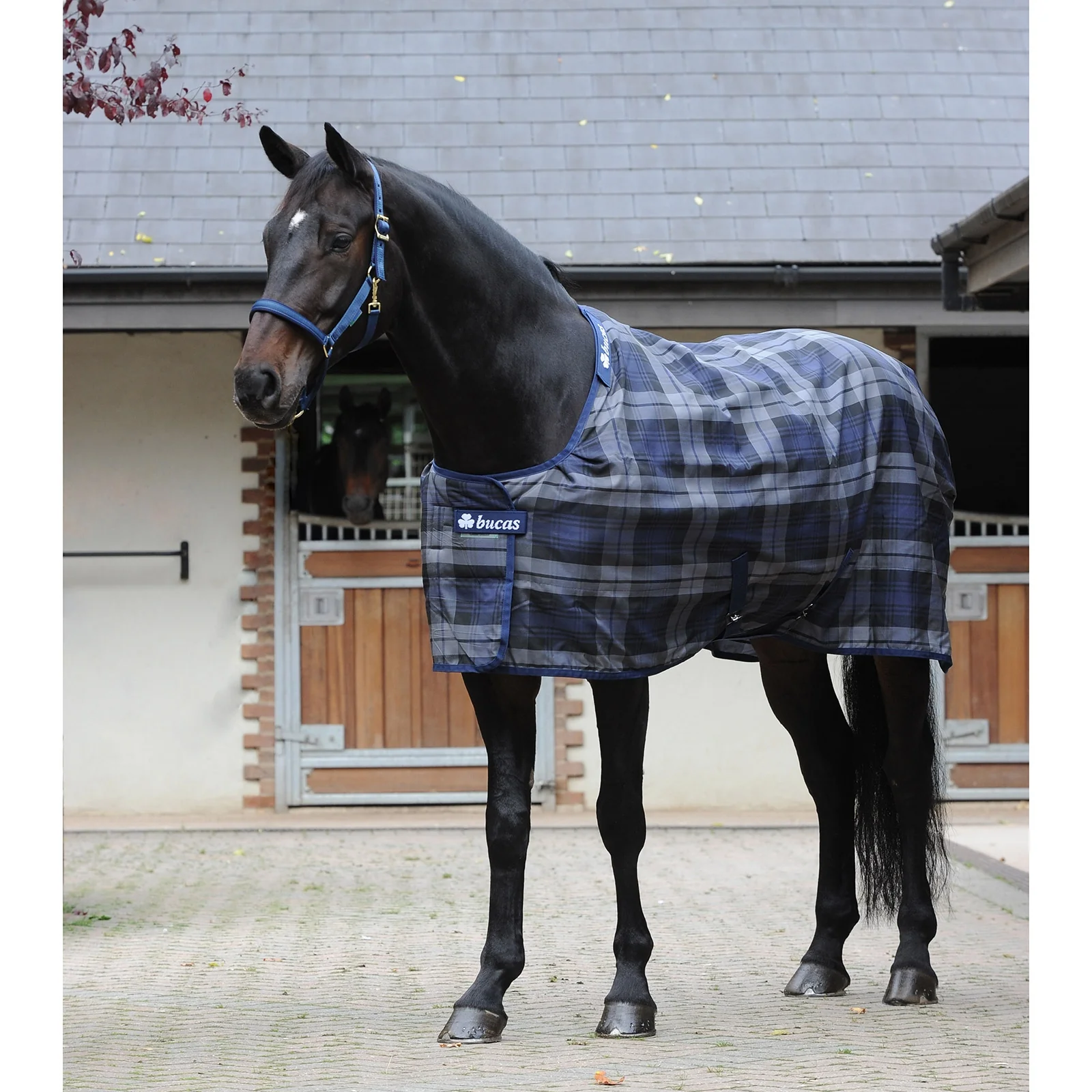 Celtic Stable Extra rug DB/G 135