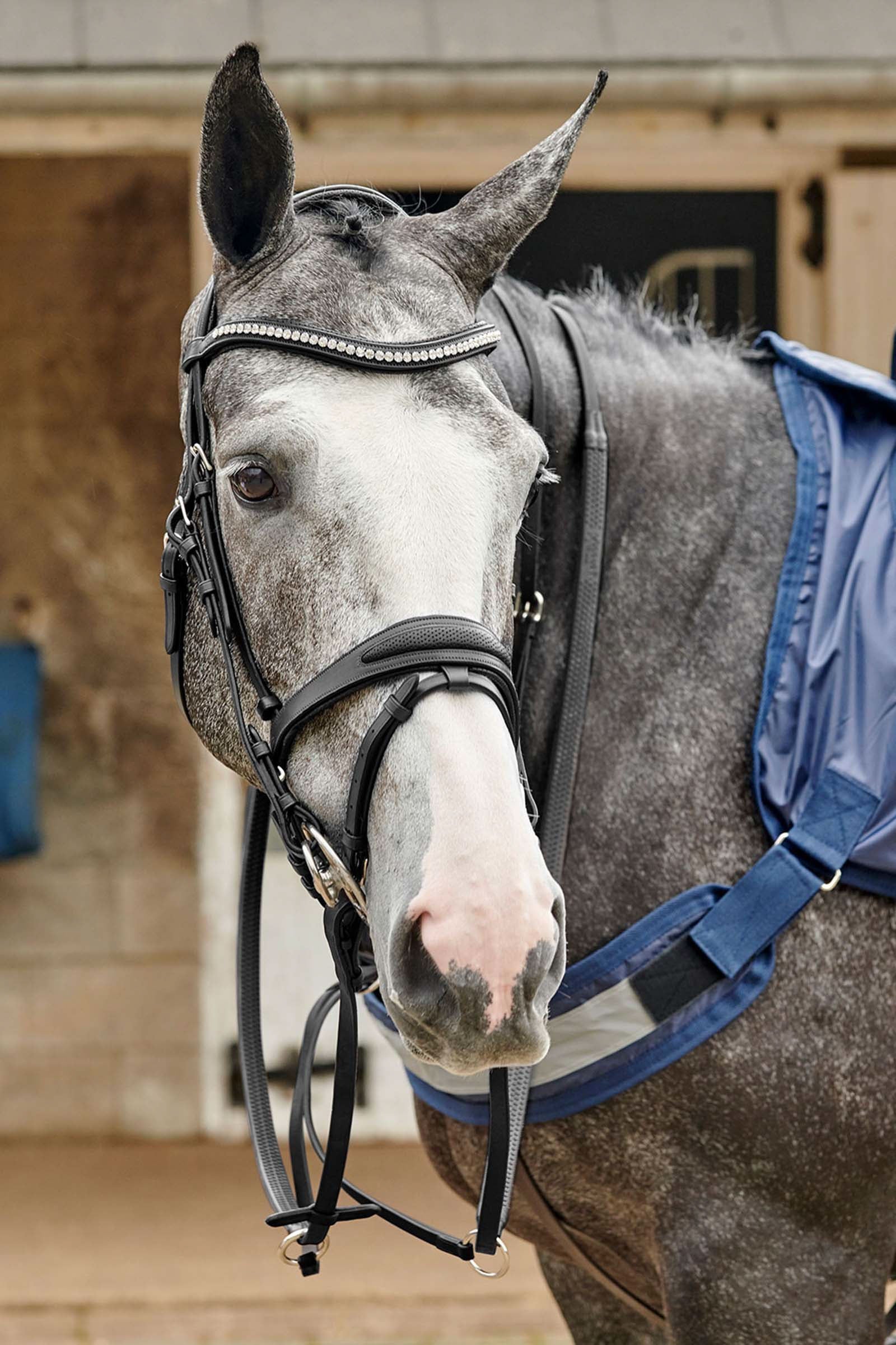 Chicago Perforated Bling Bridle Black F