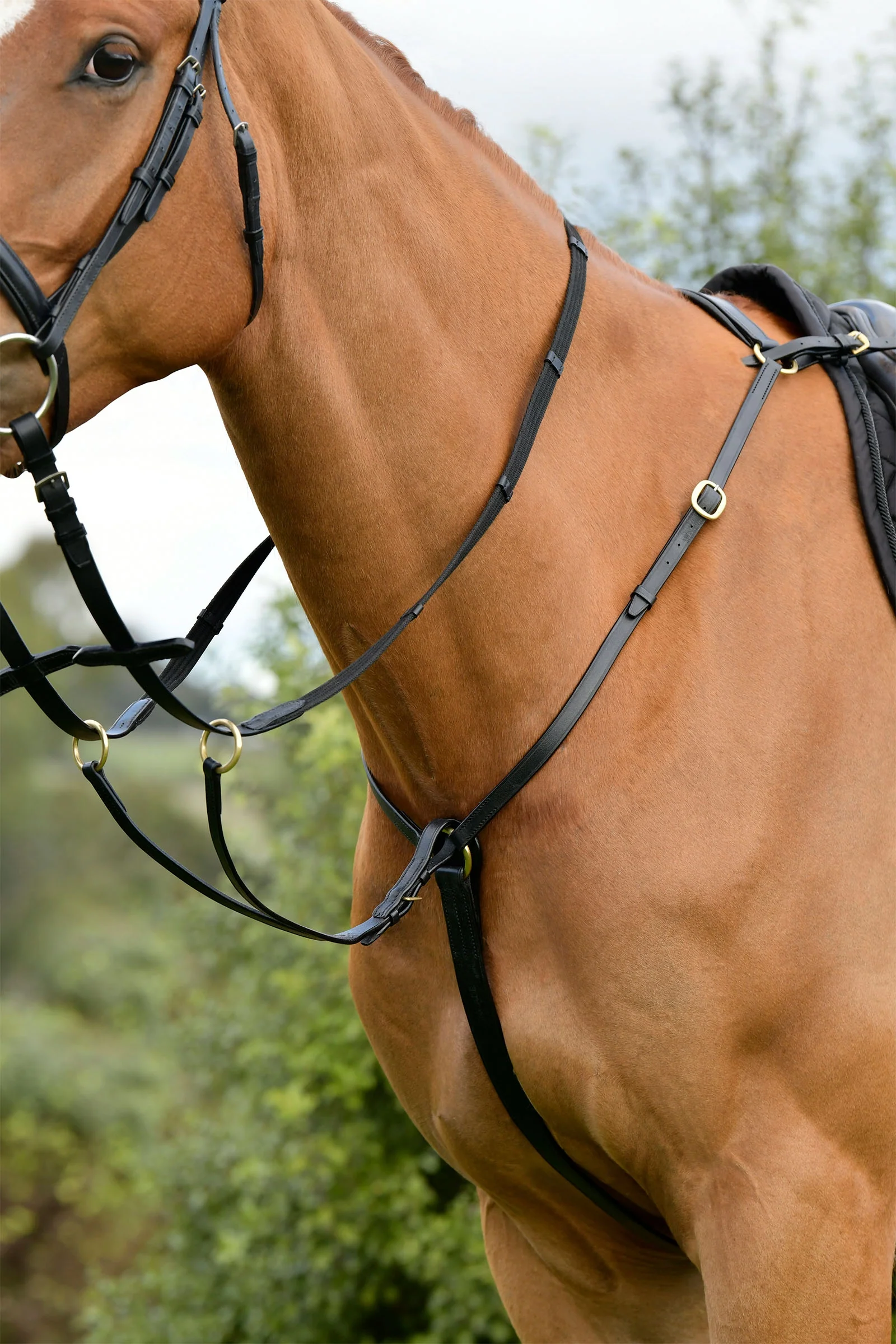 Classic 3 Point Breastplate With Running Martingale Black C