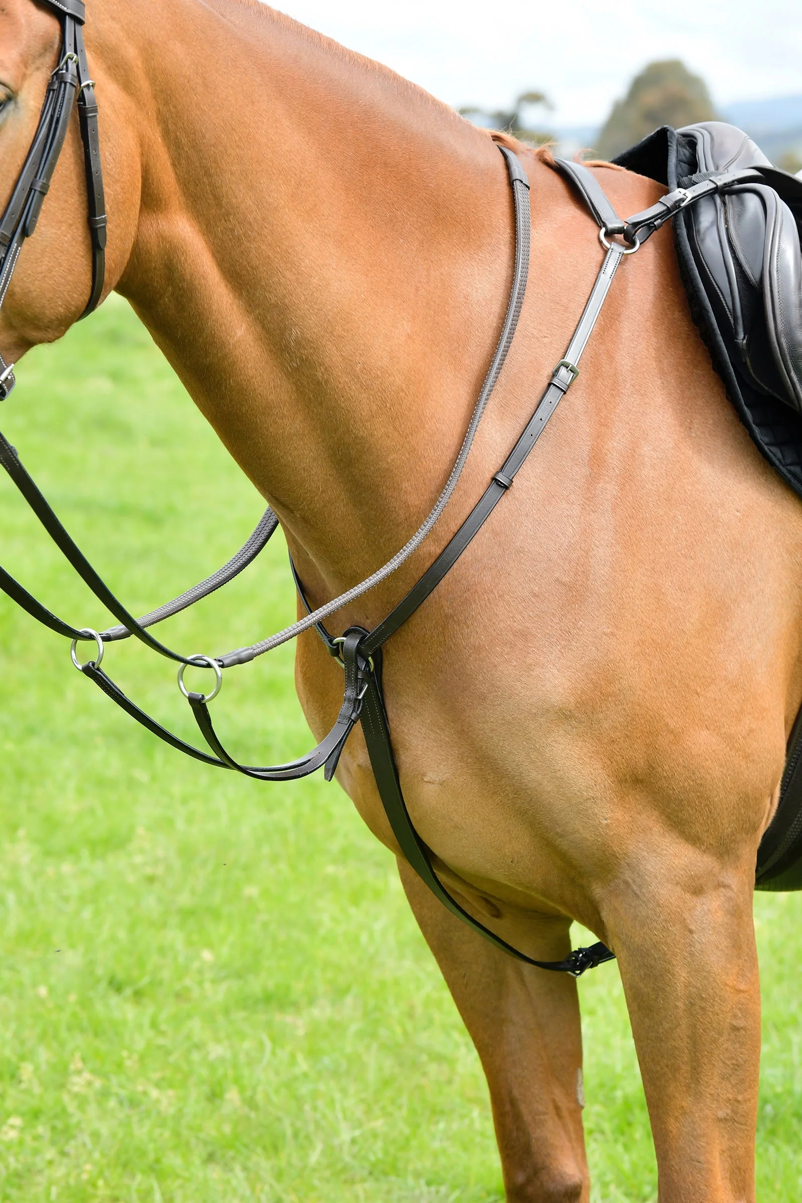 Classic 3 Point Breastplate With Running Martingale Brown C