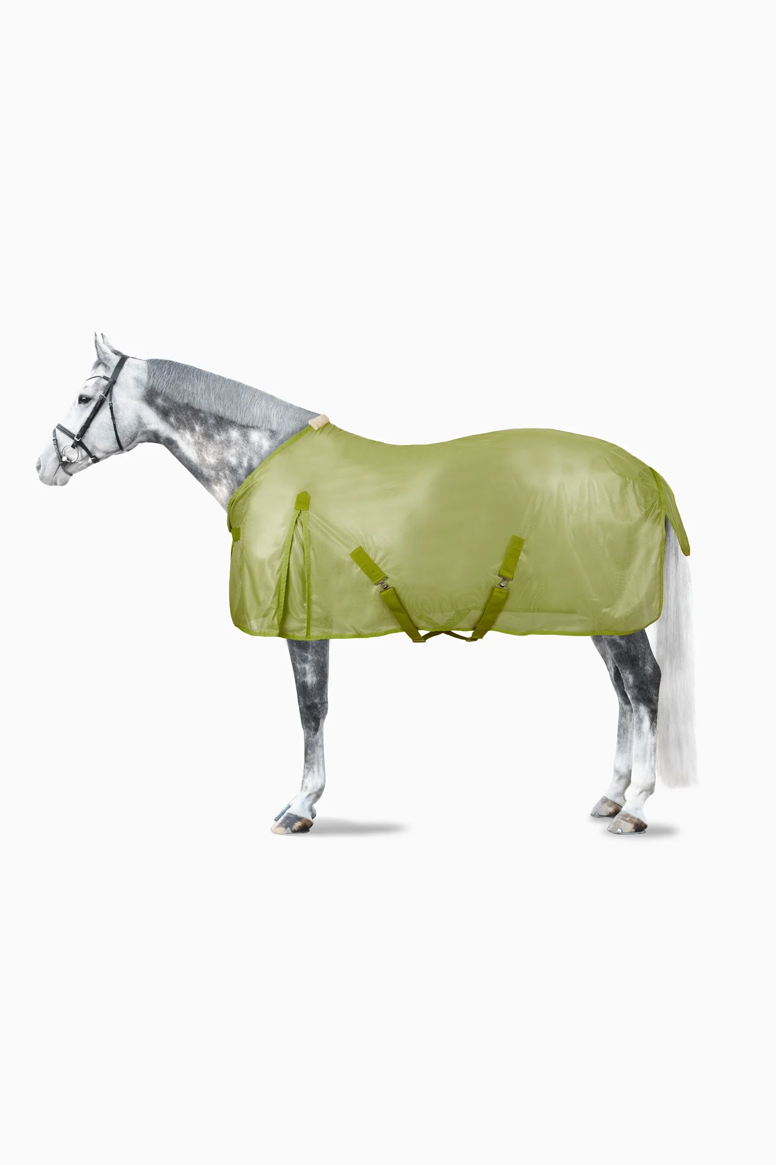 Colourful Fly Rug Light Green 145