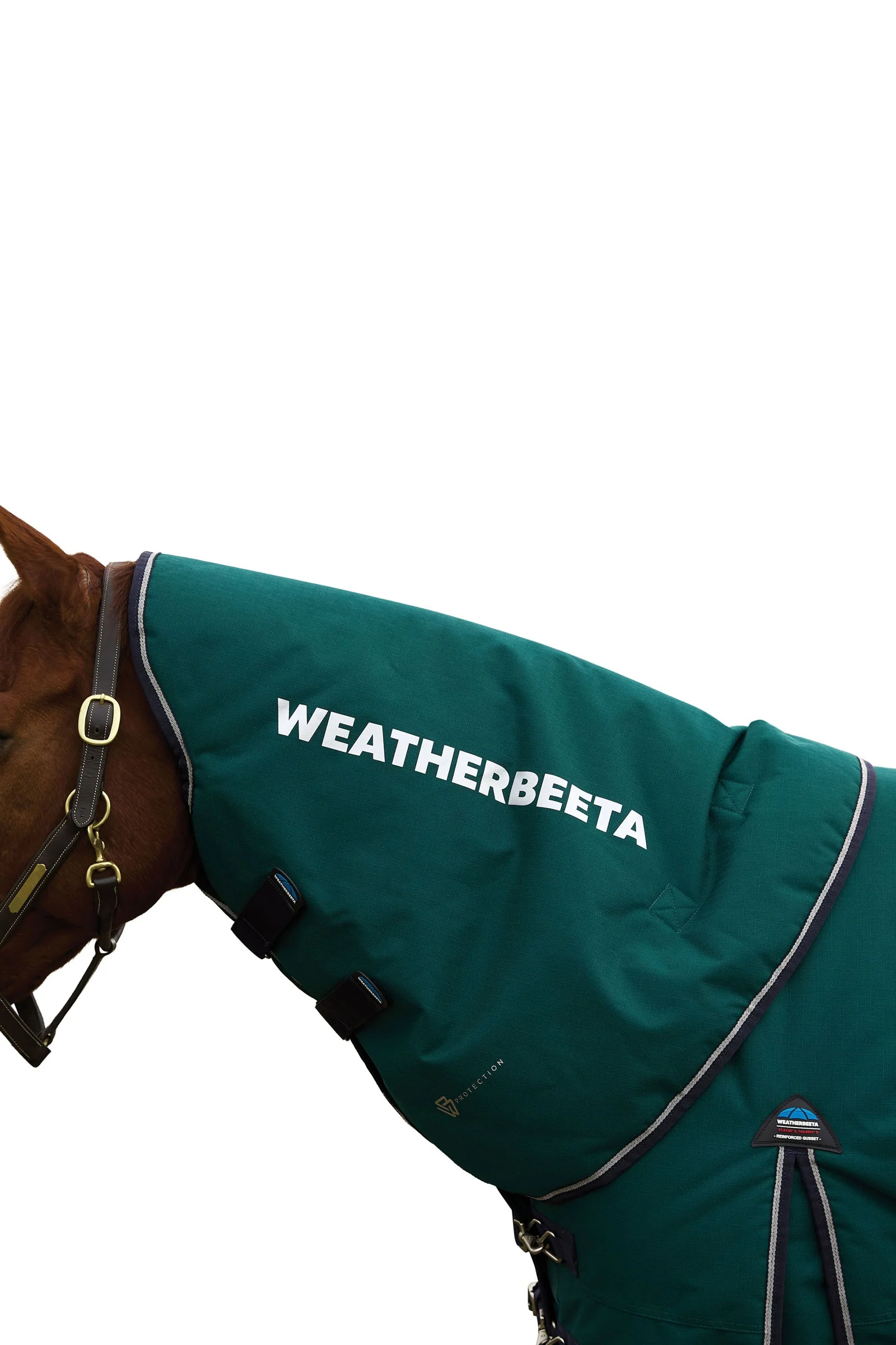 Comfitec Plus Dynamic Turnout Neck Cover, 0 g Forest Green/Navy L