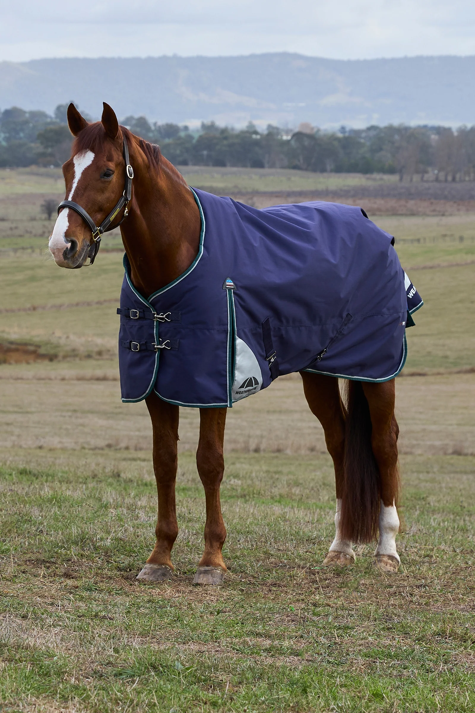 ComFiTecPlus Dynamic Turnout Detach-a-Neck, 100 g Navy/Forest Green 125