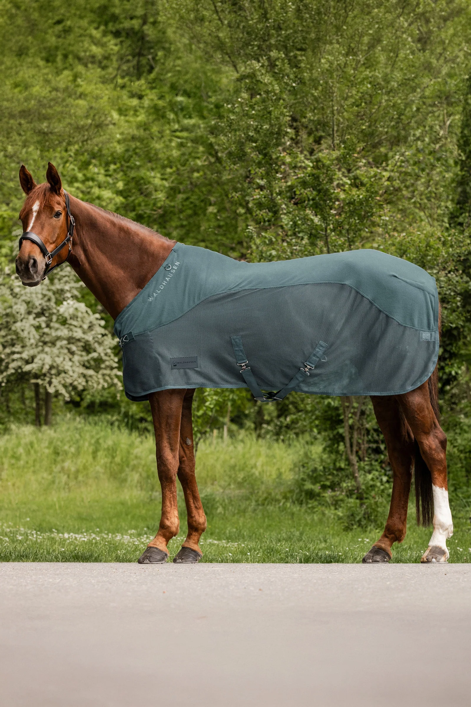 Comfort Fleece Fly Rug Pine Green 125