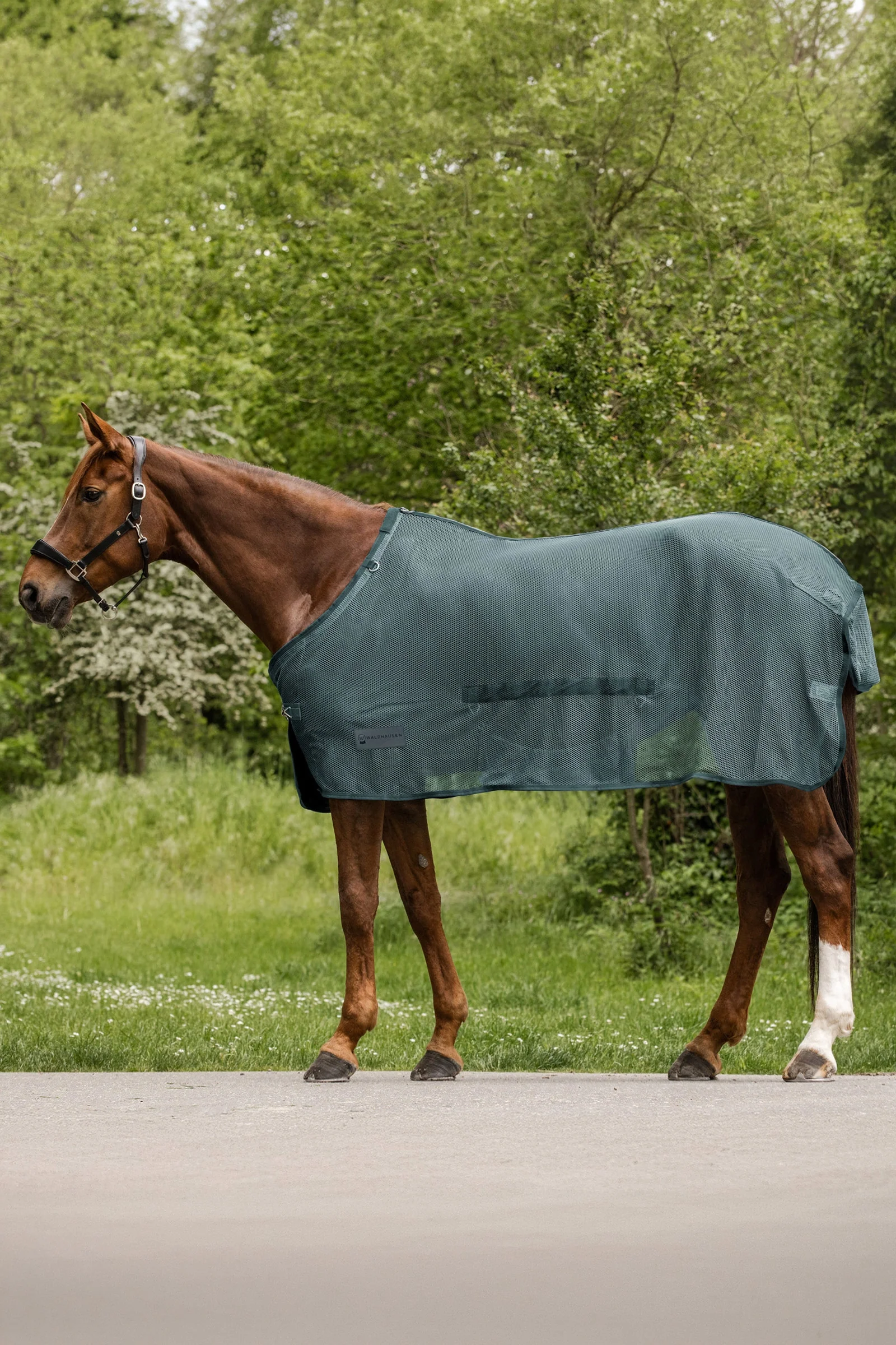 Comfort Fly Rug With Belly Flap Pine Green 135