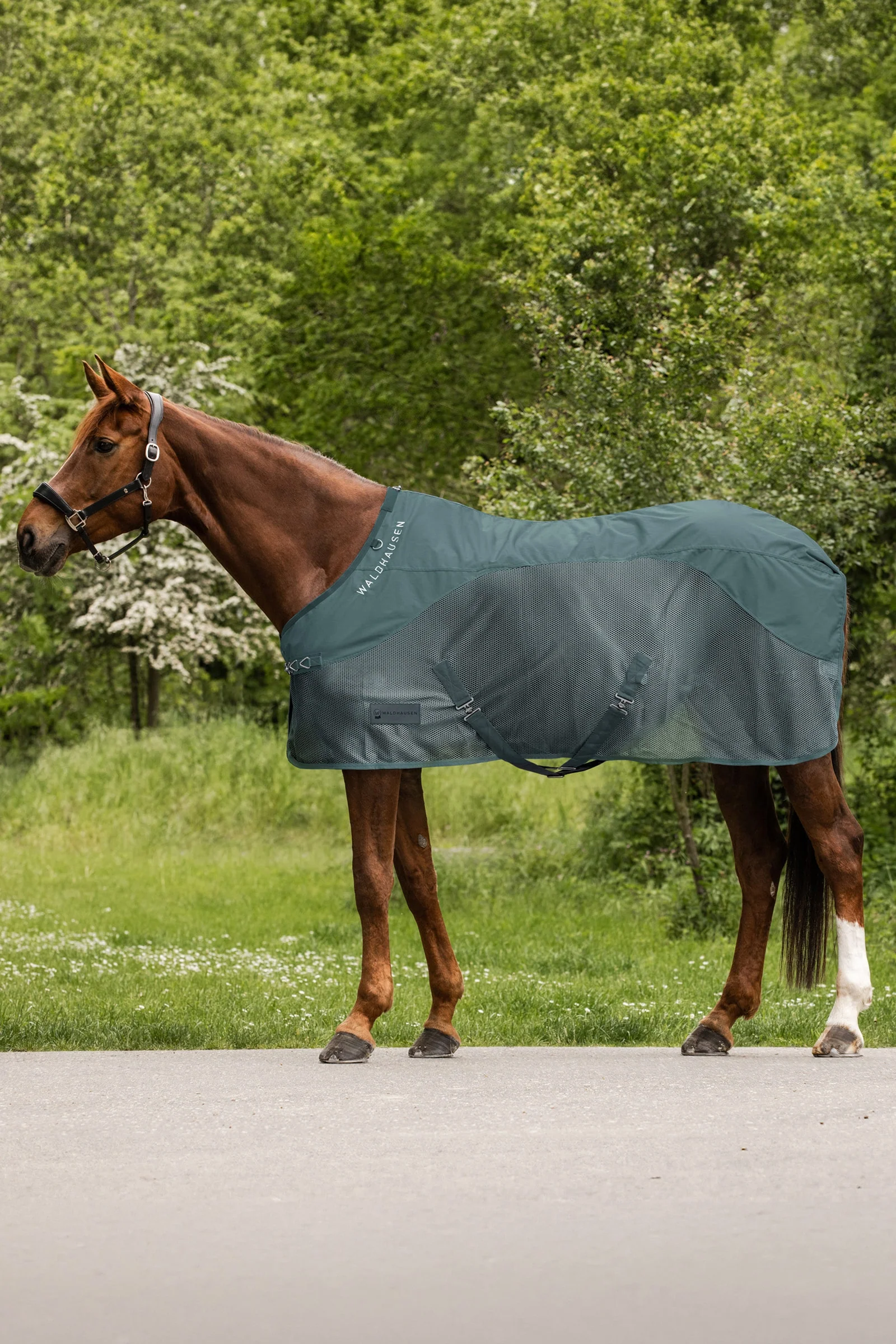 Comfort Rain Fly Rug Pine Green 165