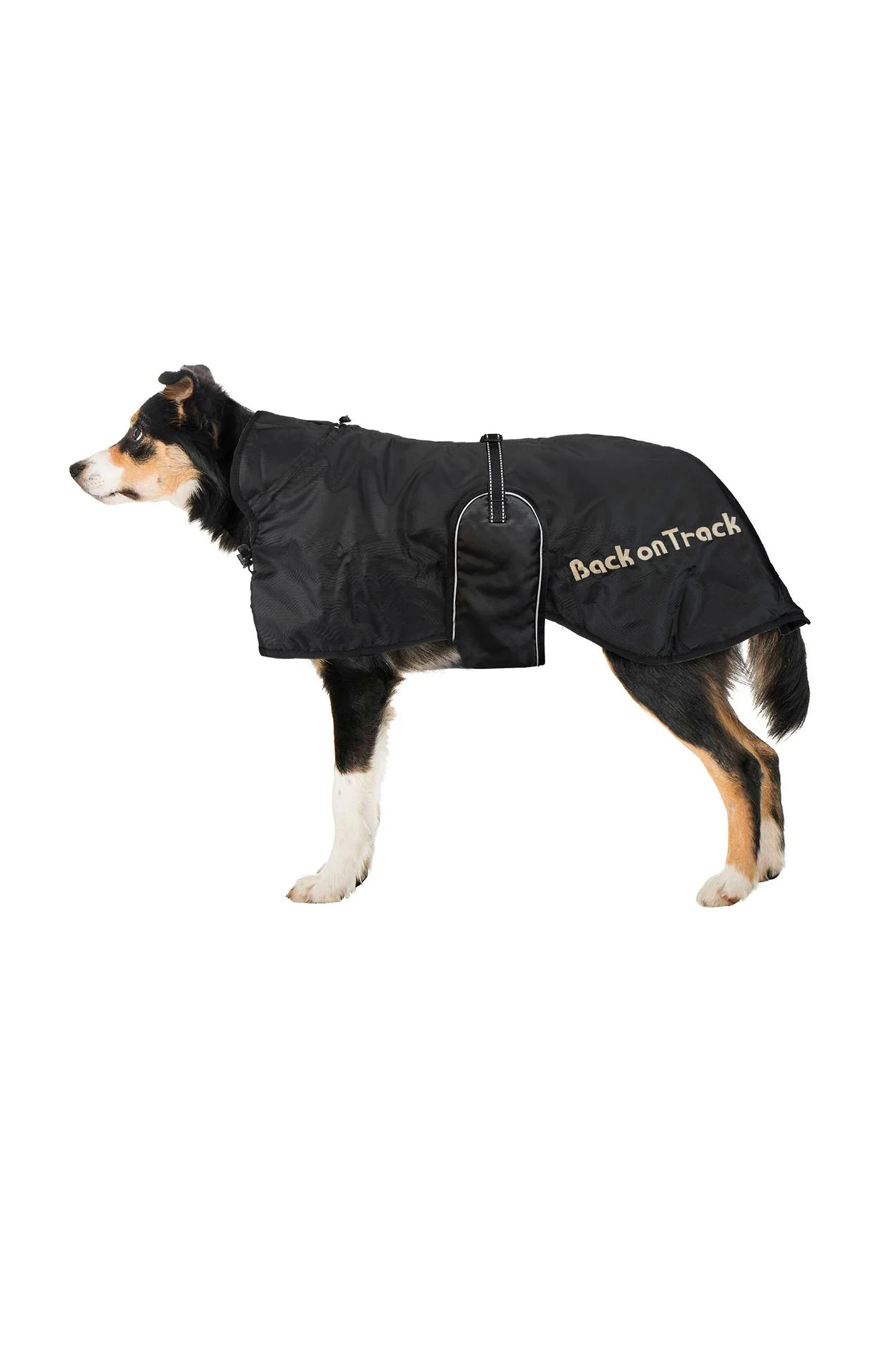 Dog Rug 43-59 Black 46