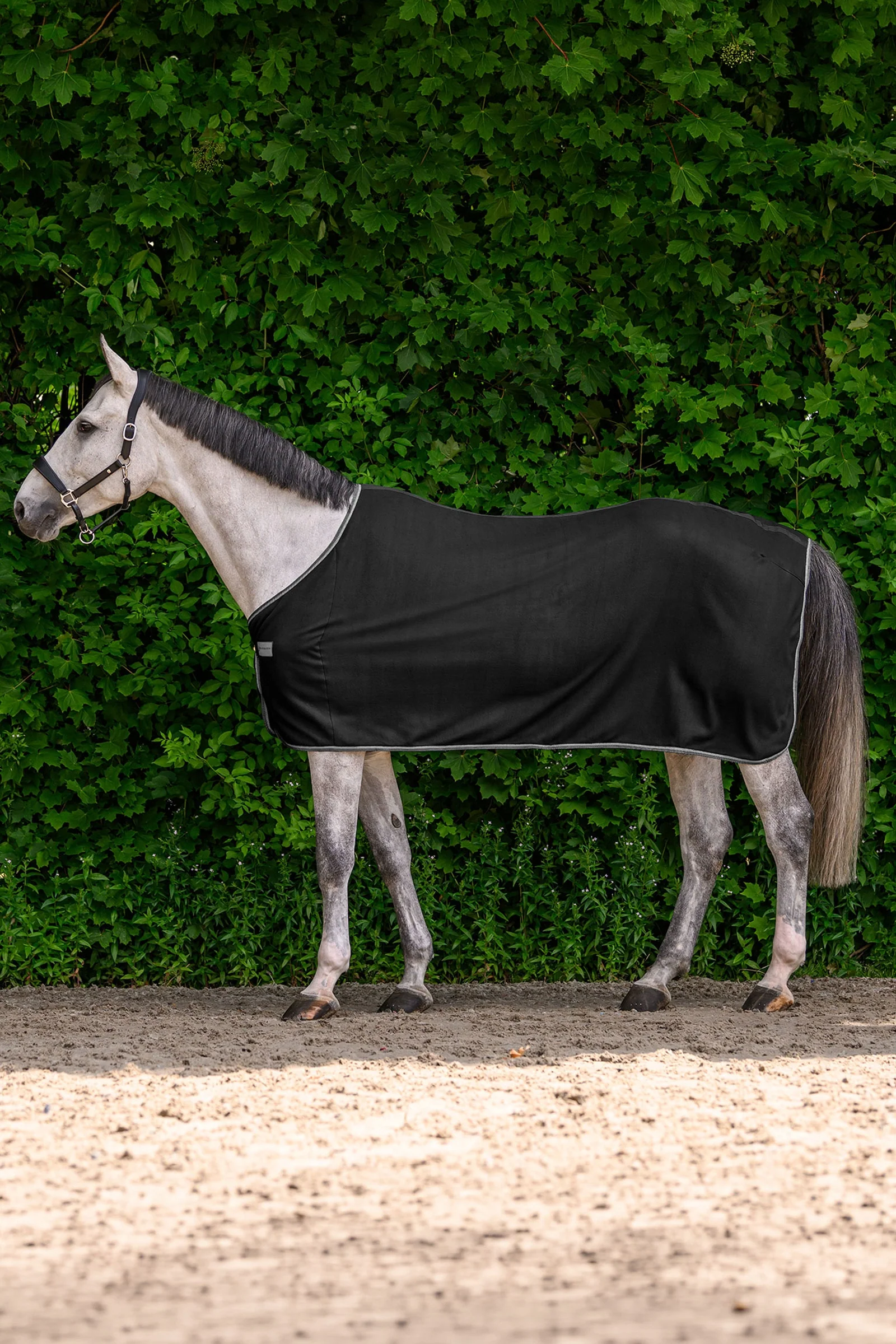 ECONOMIC Fleece Rug Black 105