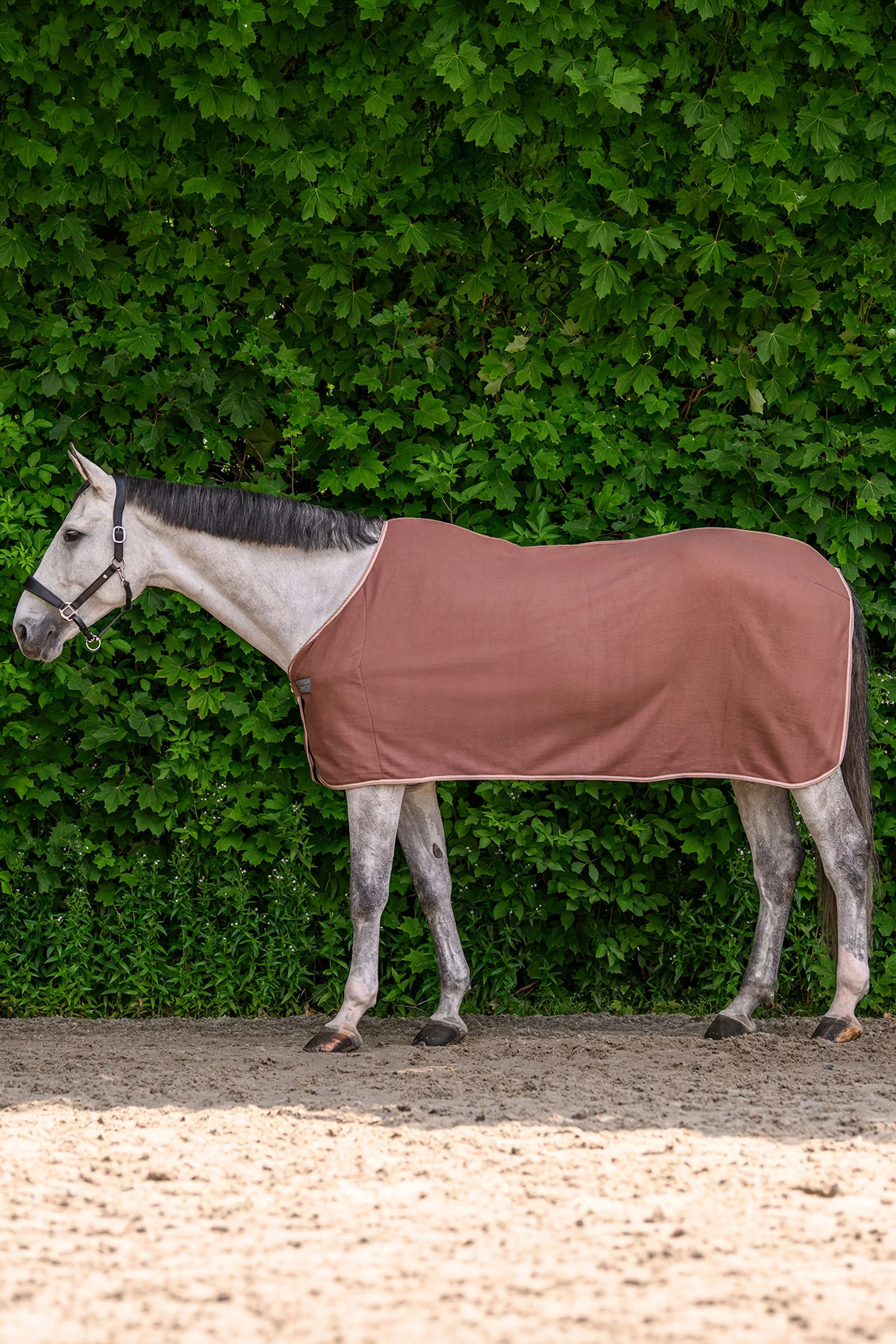 ECONOMIC Fleece Rug Mocca 135
