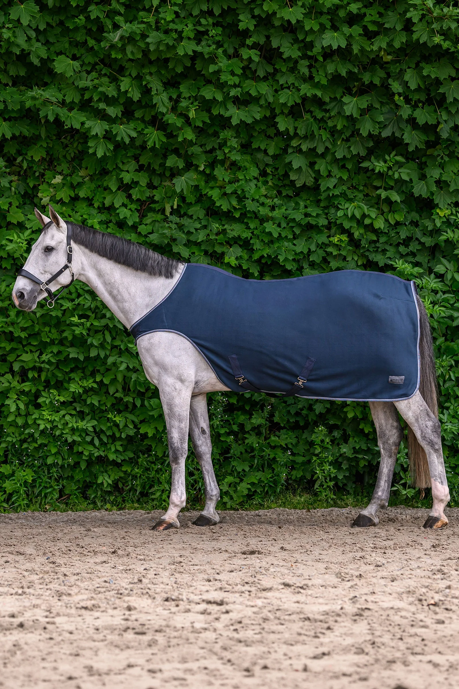 ECONOMIC Fleece Walker Rug Night Blue 125