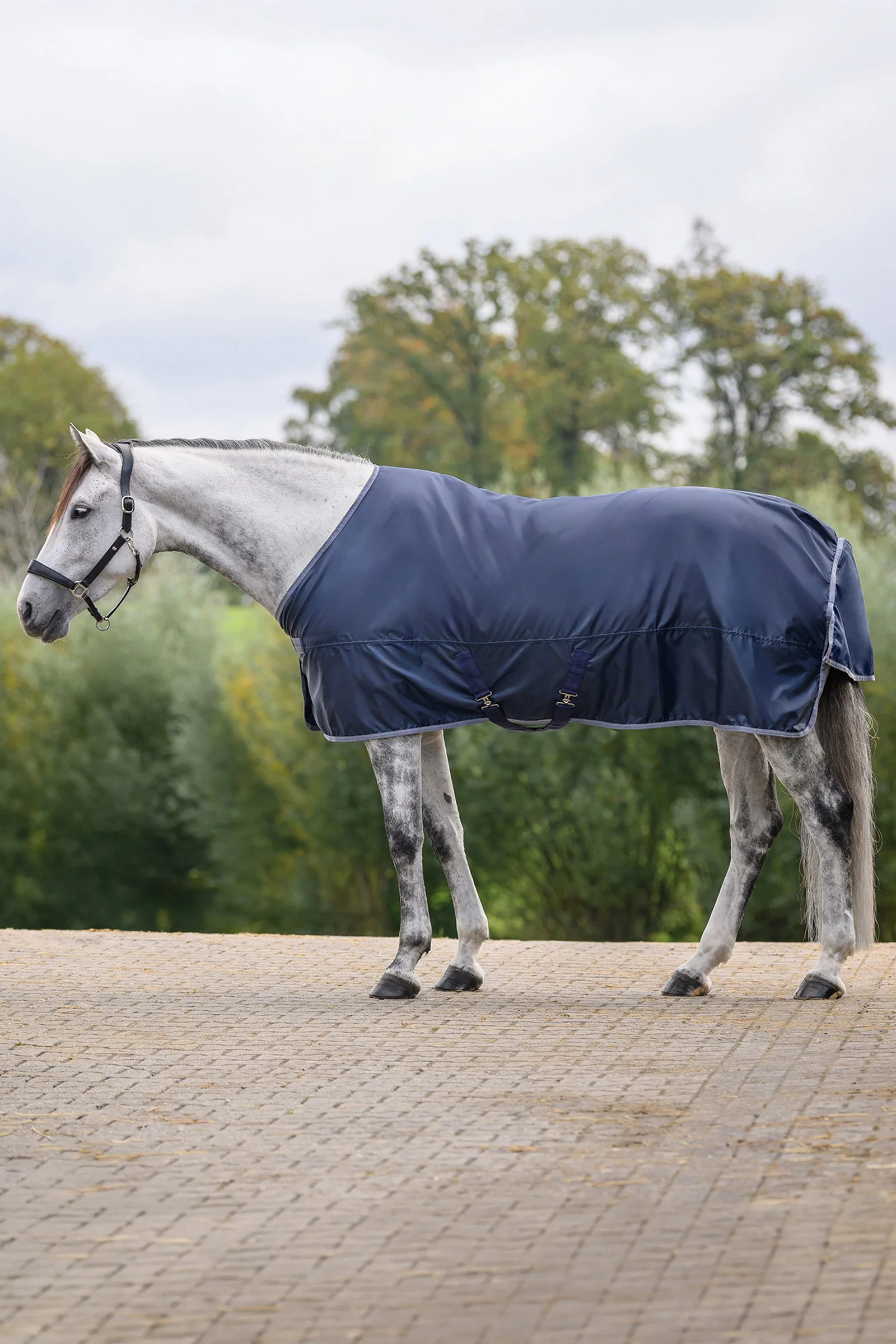 ECONOMIC Rain Rug Night Blue 125