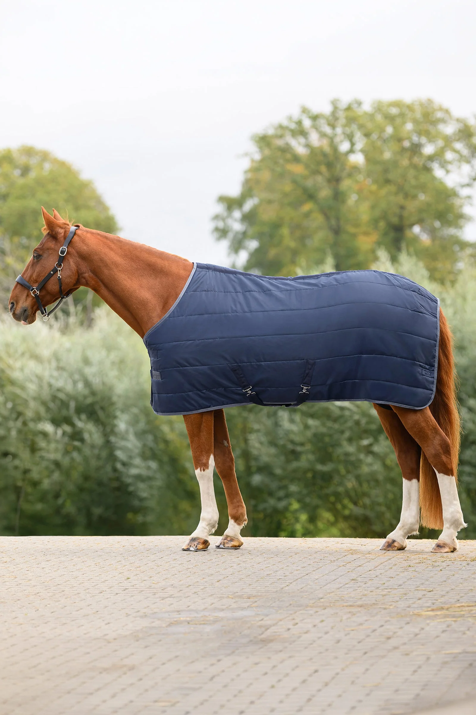ECONOMIC Stable Rug, 100g Night Blue 135
