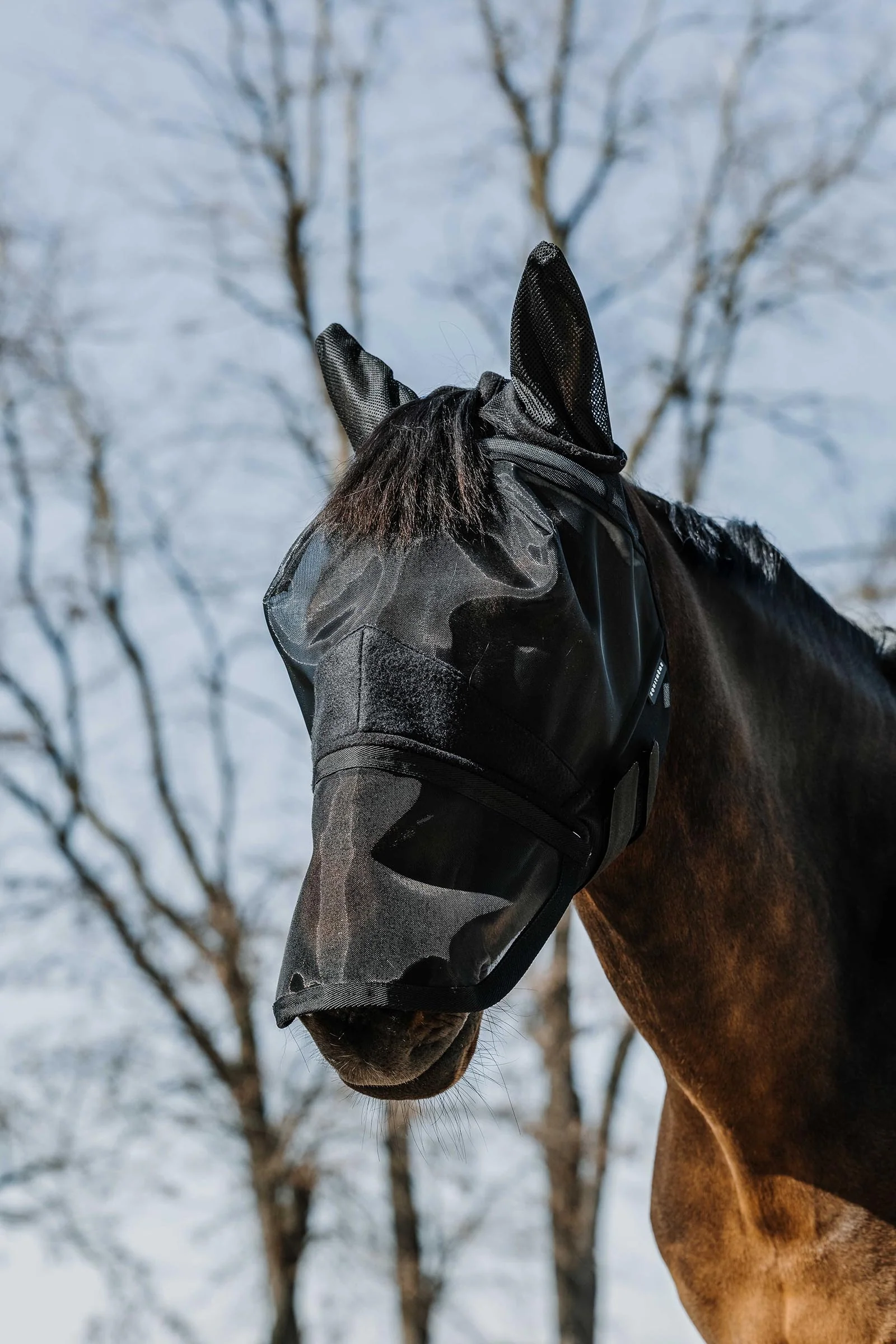 EQUITHÈME 2-in-1 Fly Mask / UV Mask Black M