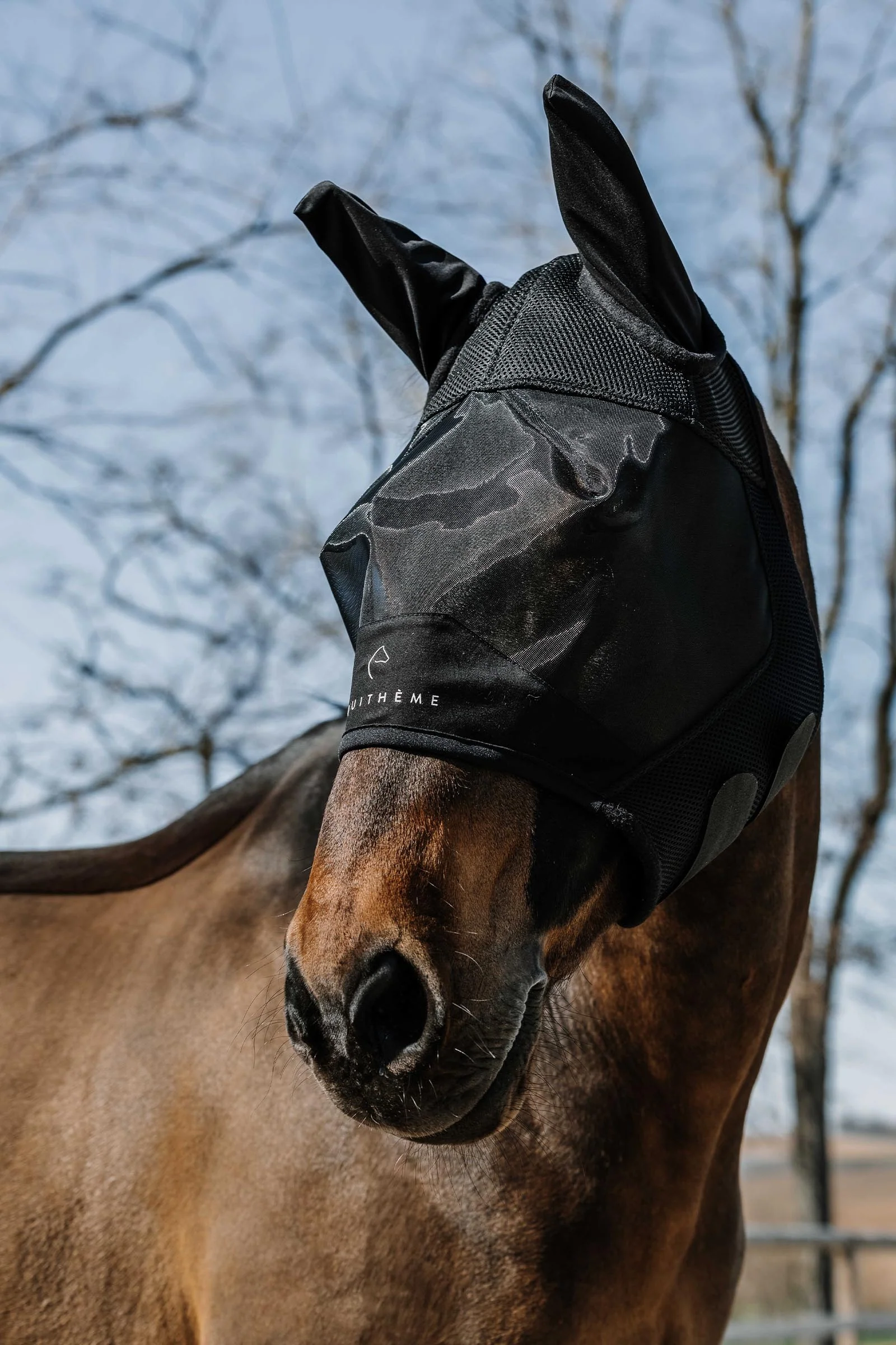 EQUITHÈME Mesh Fly Mask/ UV Mask Black M