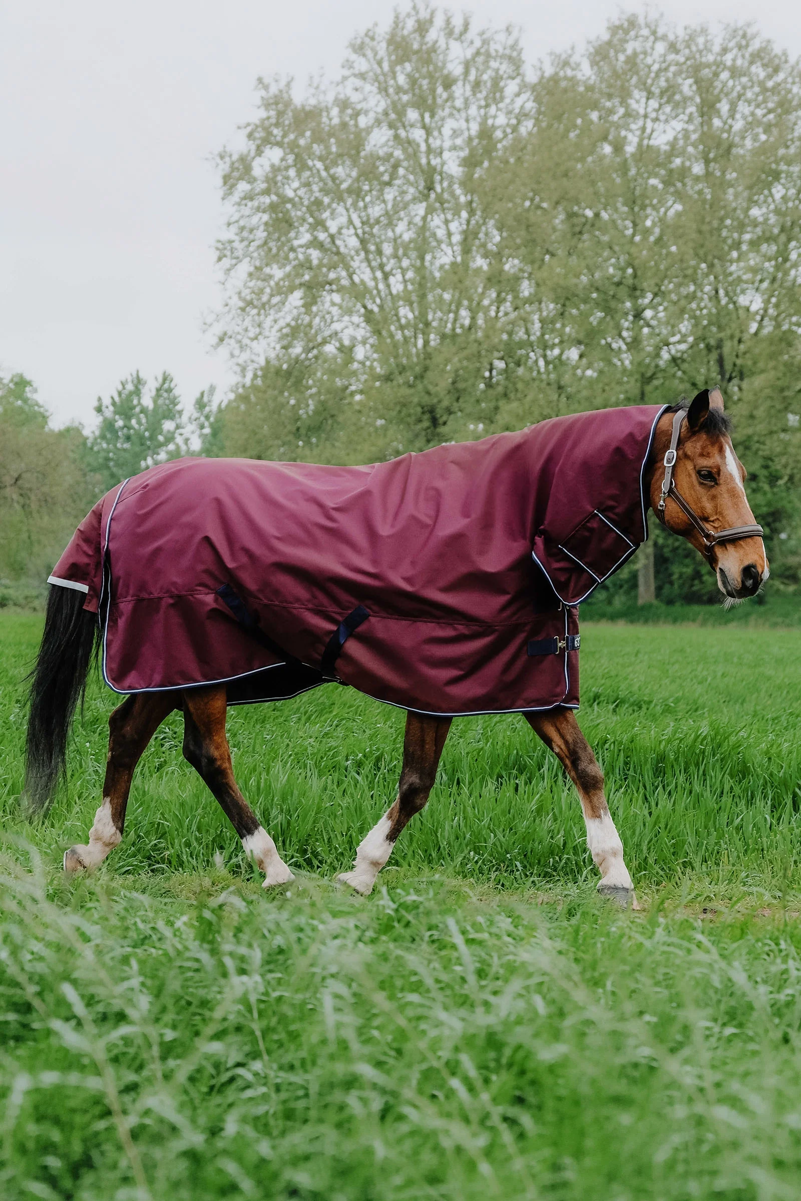 EQUITHÈME TYREX 1200D Combo Rug, 0 g Burgundy 155
