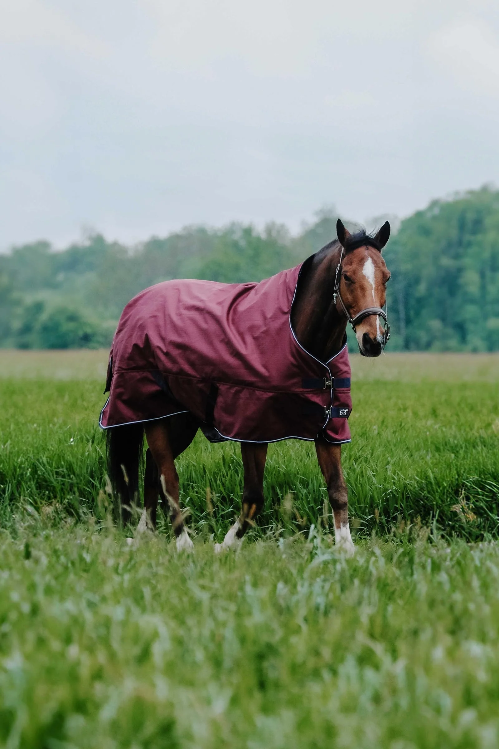 EQUITHÈME TYREX 1200D High Neck Rug, 300 g Burgundy 165