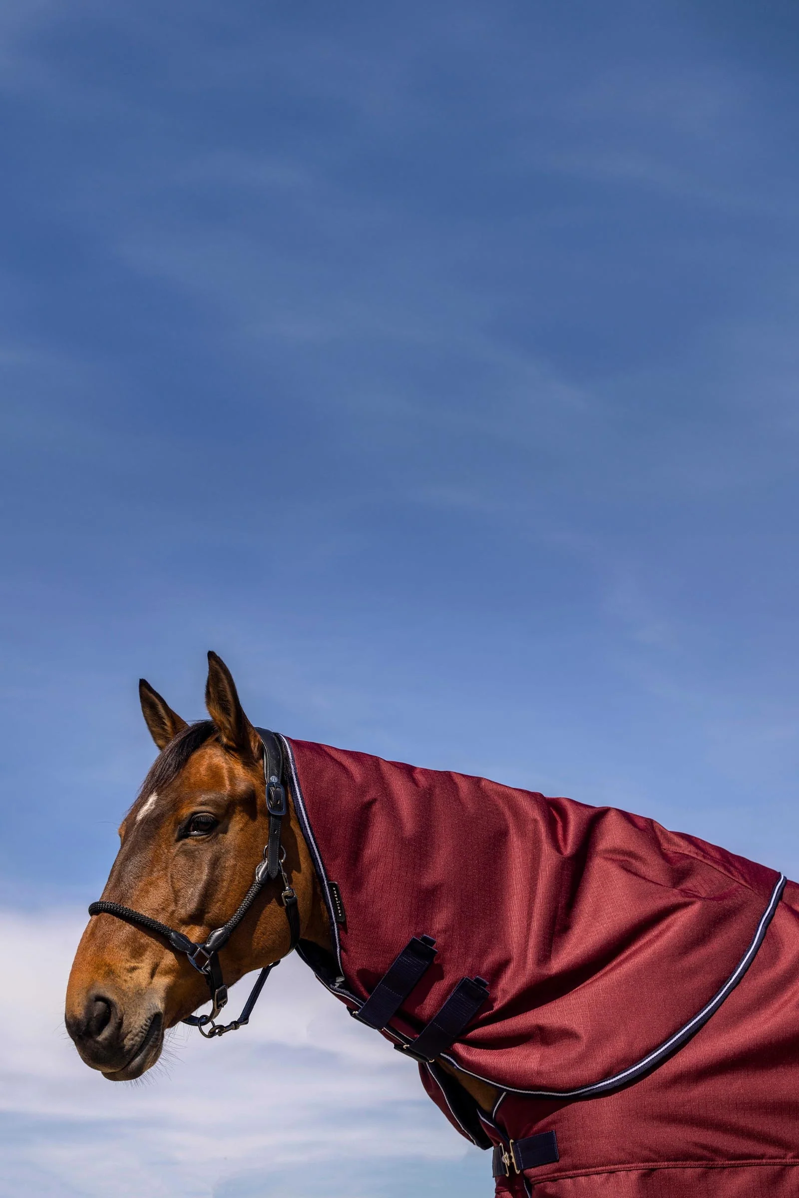 EQUITHÈME TYREX 1200D Neck Cover, 0g Burgundy F