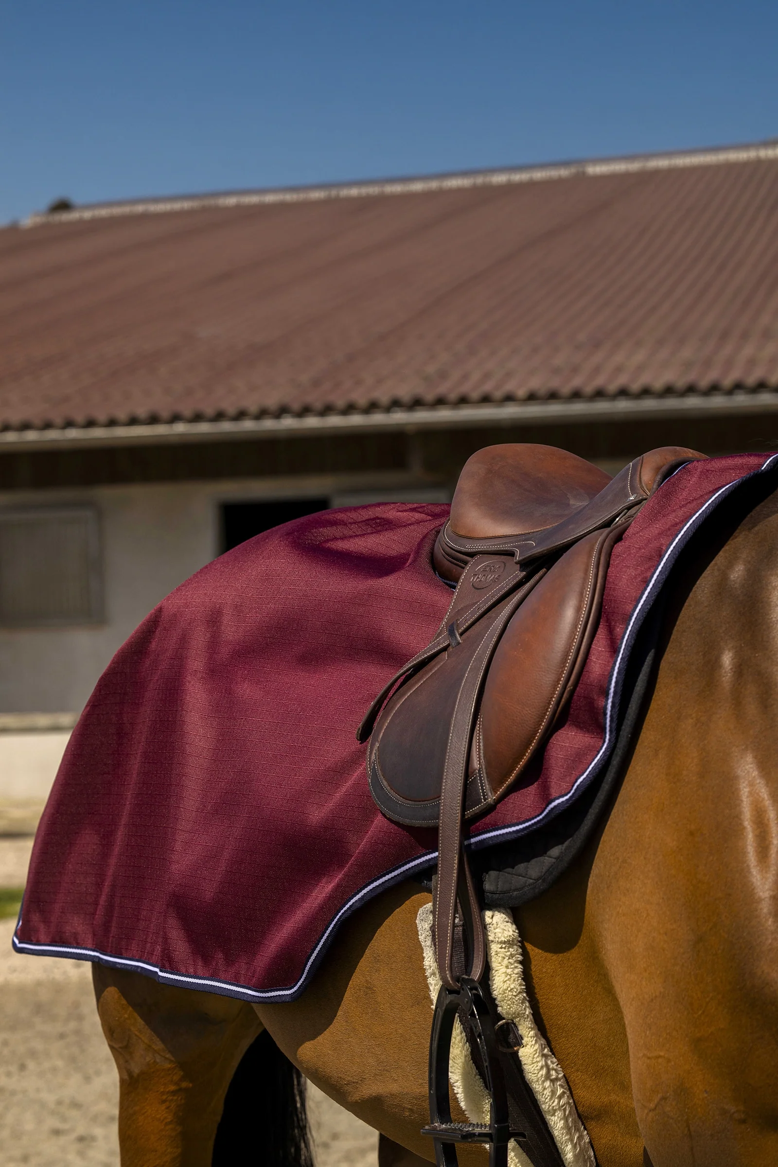 EQUITHÈME TYREX Aisance 1200D Exercice Rug Burgundy 165