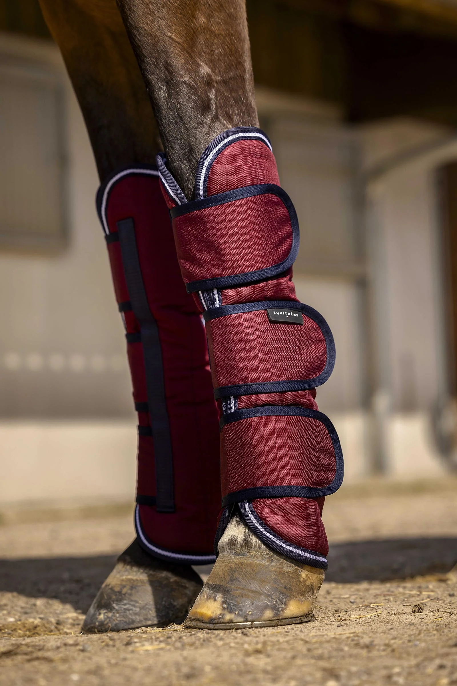 EQUITHÈME TYREX Aisance 1200D Transport Boots Burgundy C