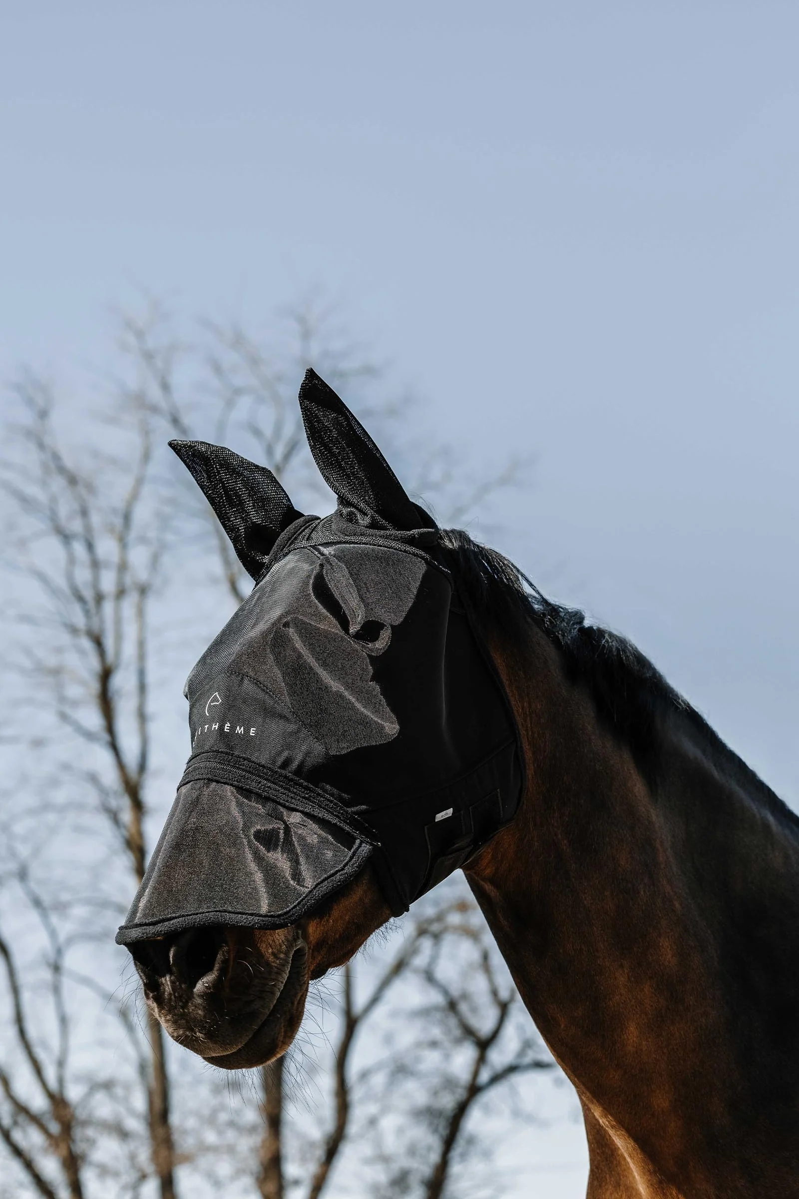 EQUITHÈME Zipper Fly Mask/ UV Mask Black L