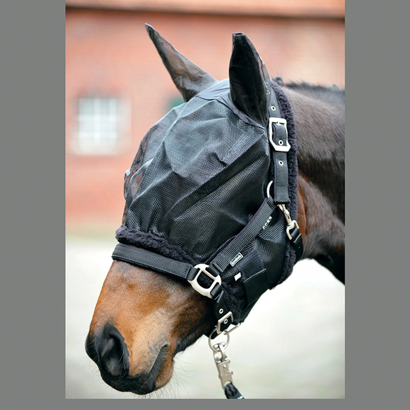 Fly mask with ears Black S