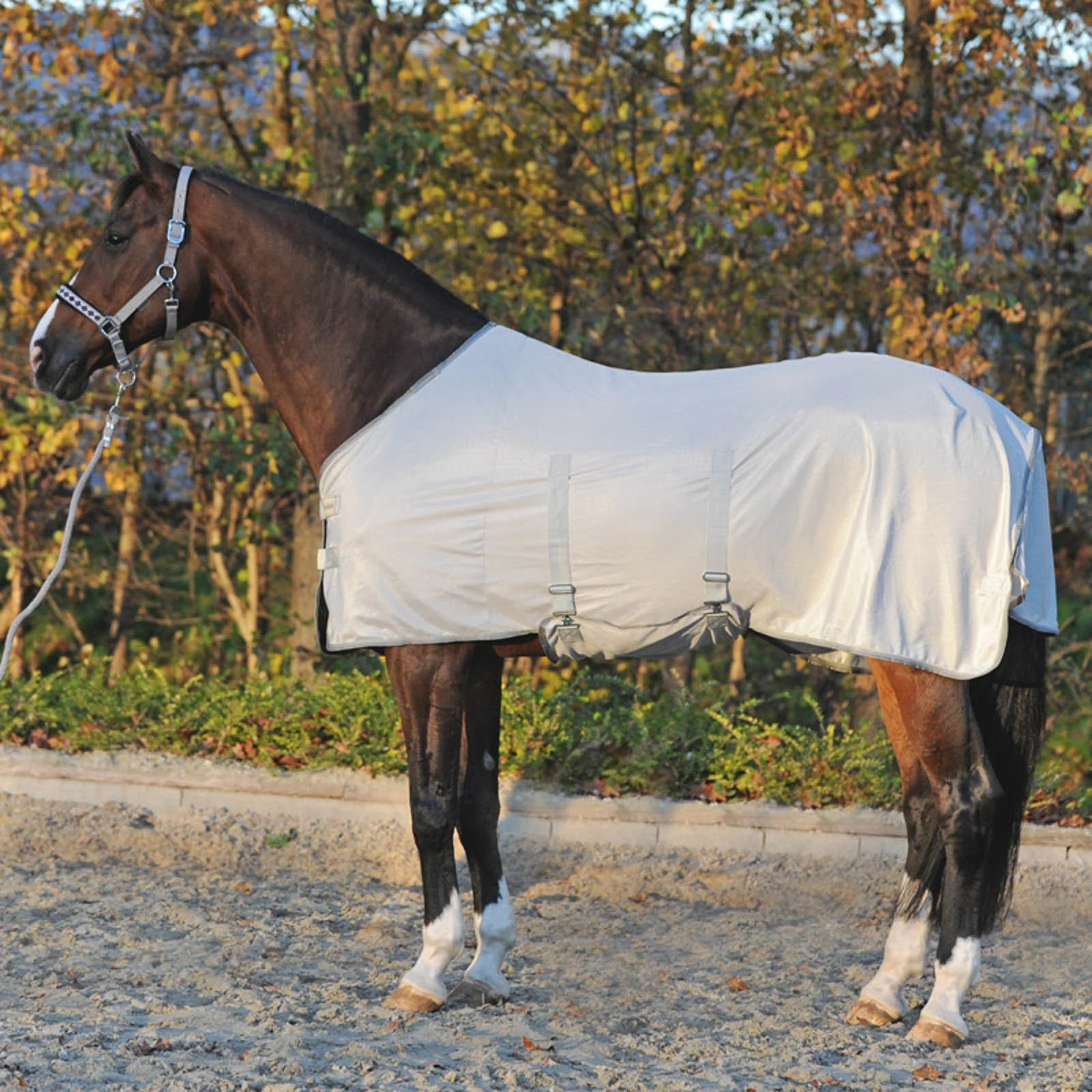 Fly Rug with Removable Neck Grey 115 - Image 6