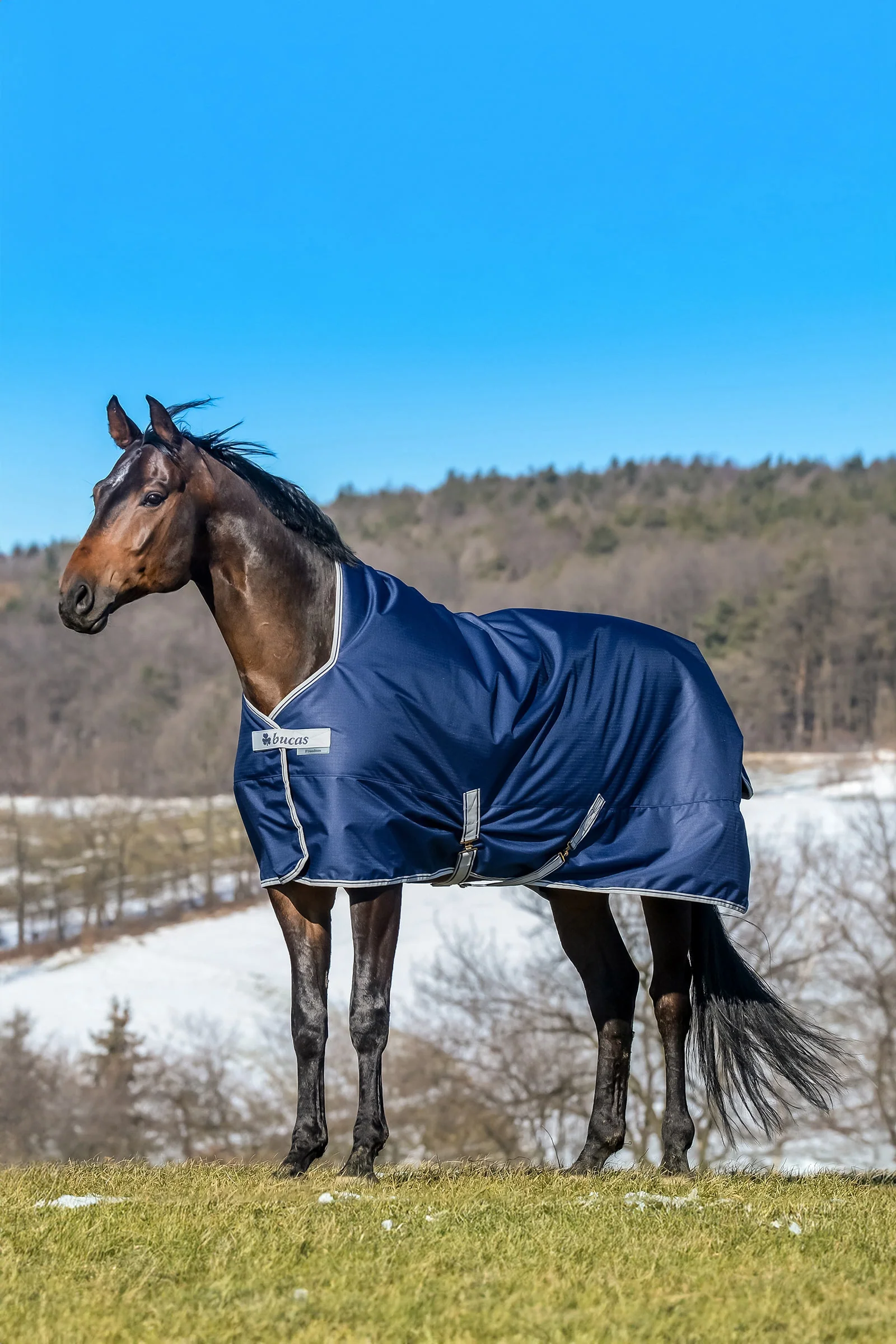 Freedom High Neck Turnout Rug, 150g Dark Blue 165 - Image 2