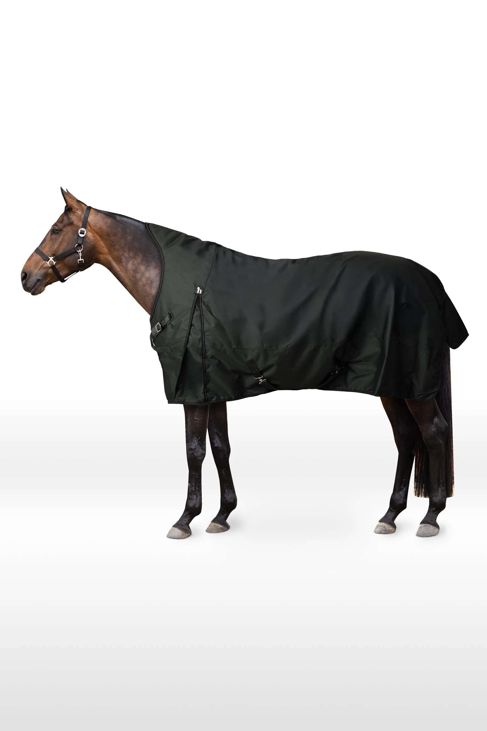 Helsinki Turnout Rug With Half Neck, 50 g Scarab Green 145