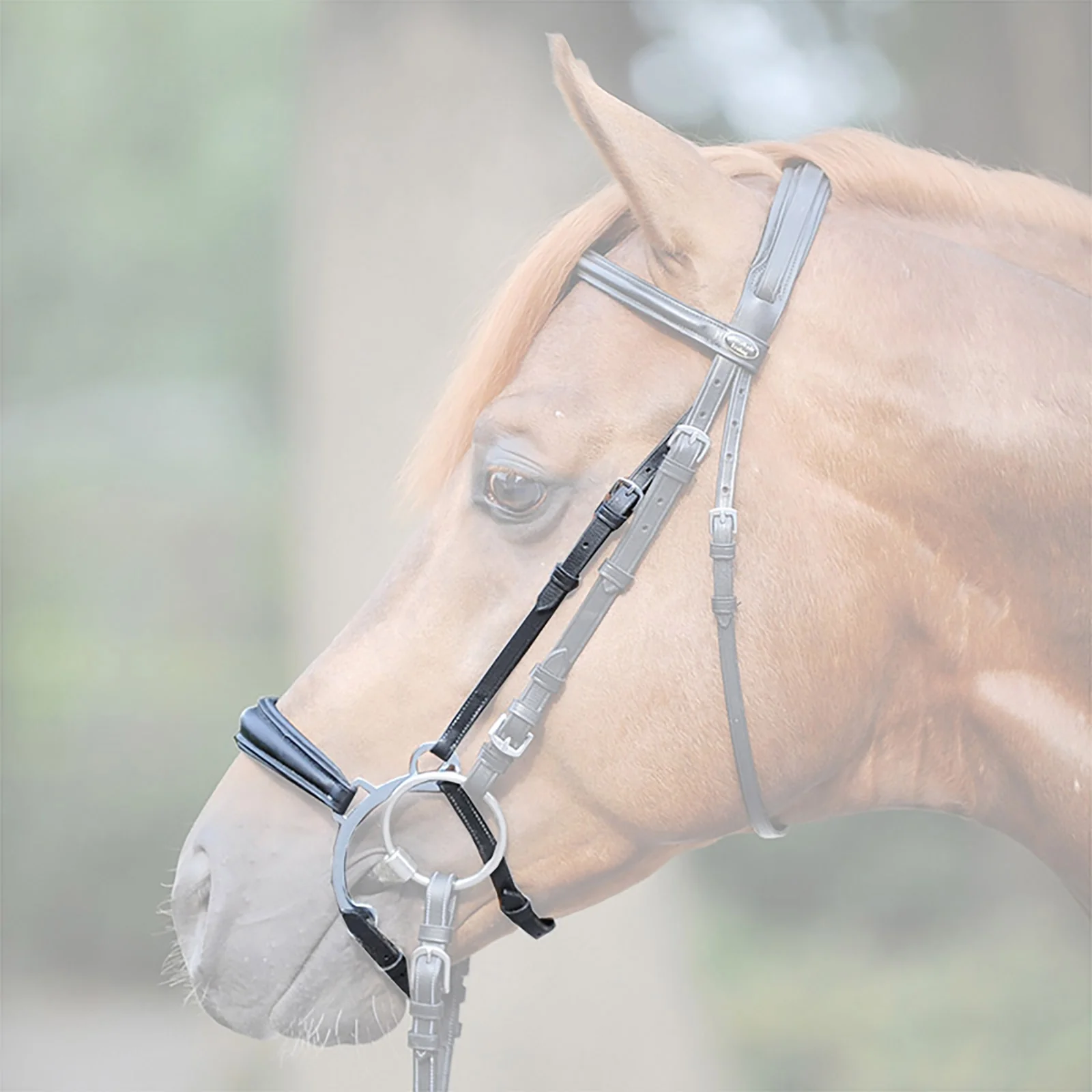 Iron noseband BL F