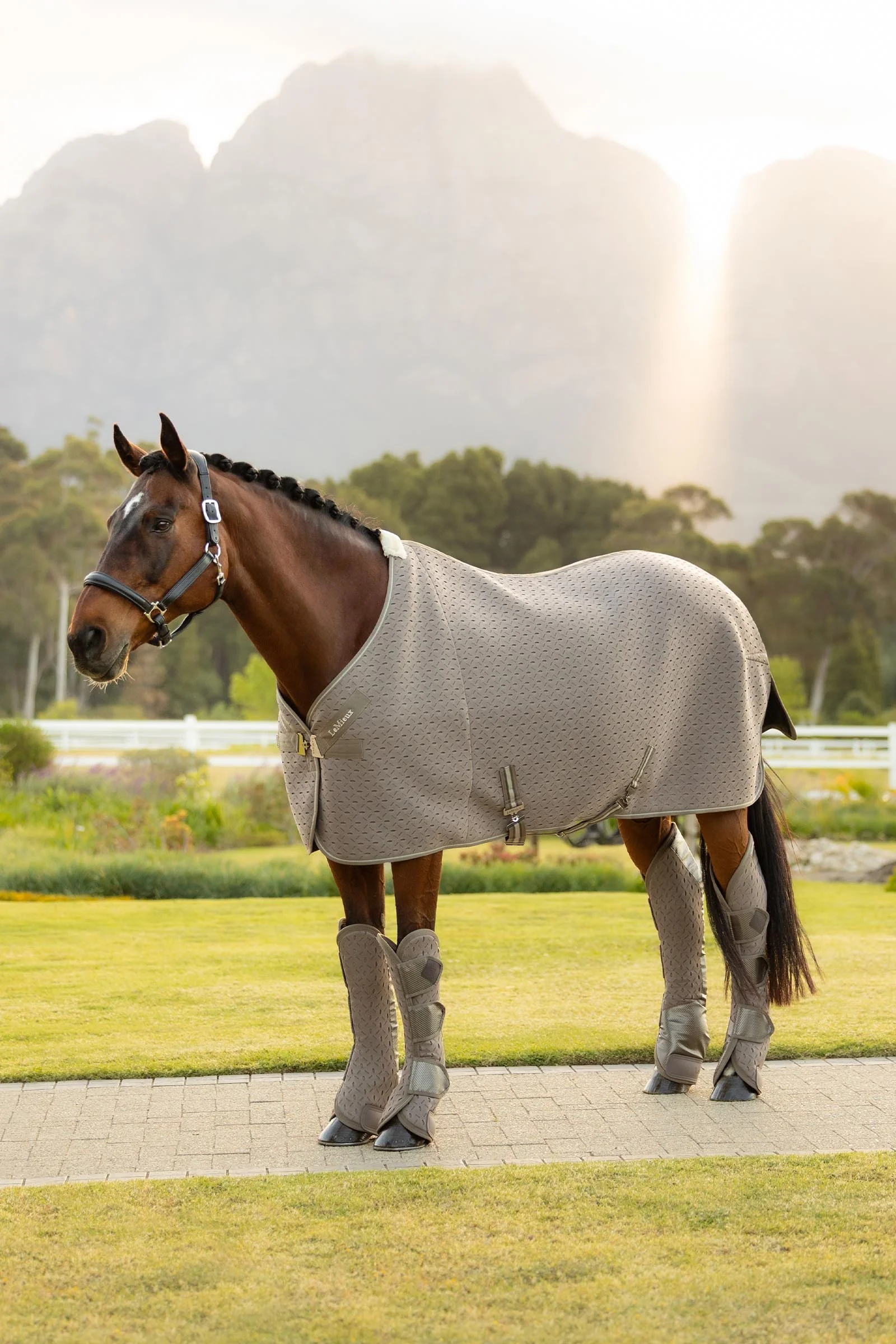Kudos 3D Mesh Travel Rug Pecan 140