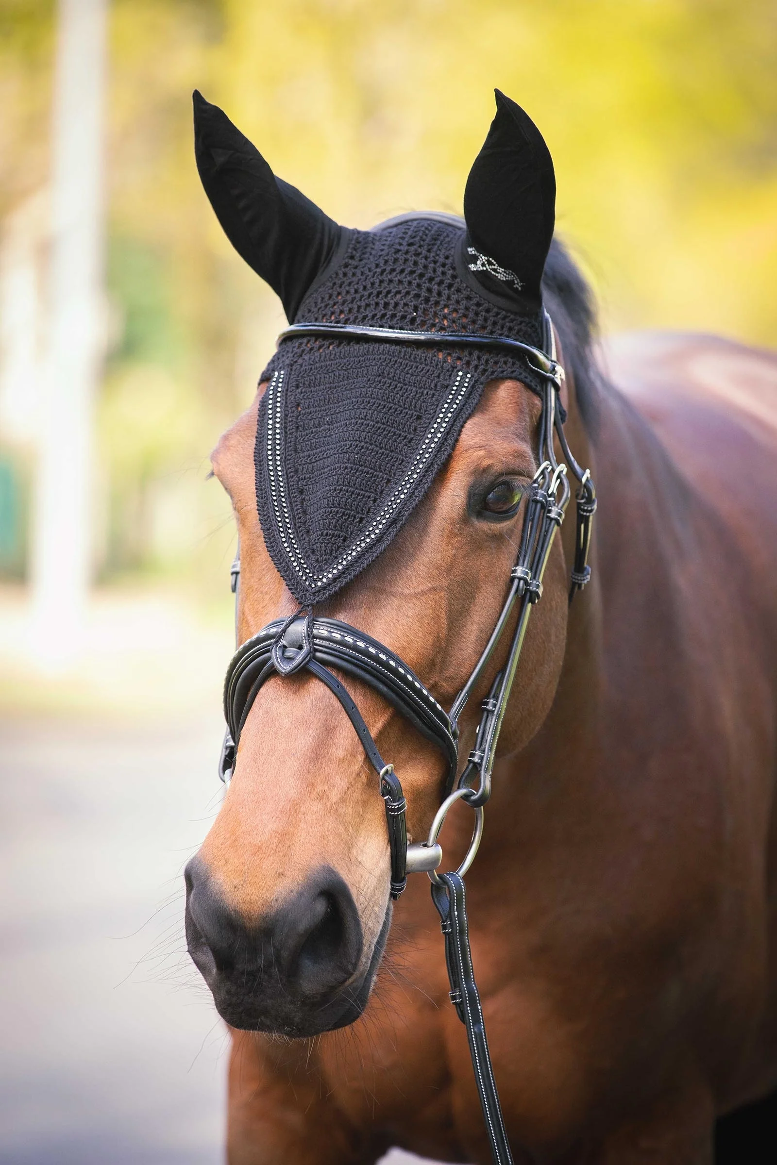 Long Fly Veil With Strass Black F