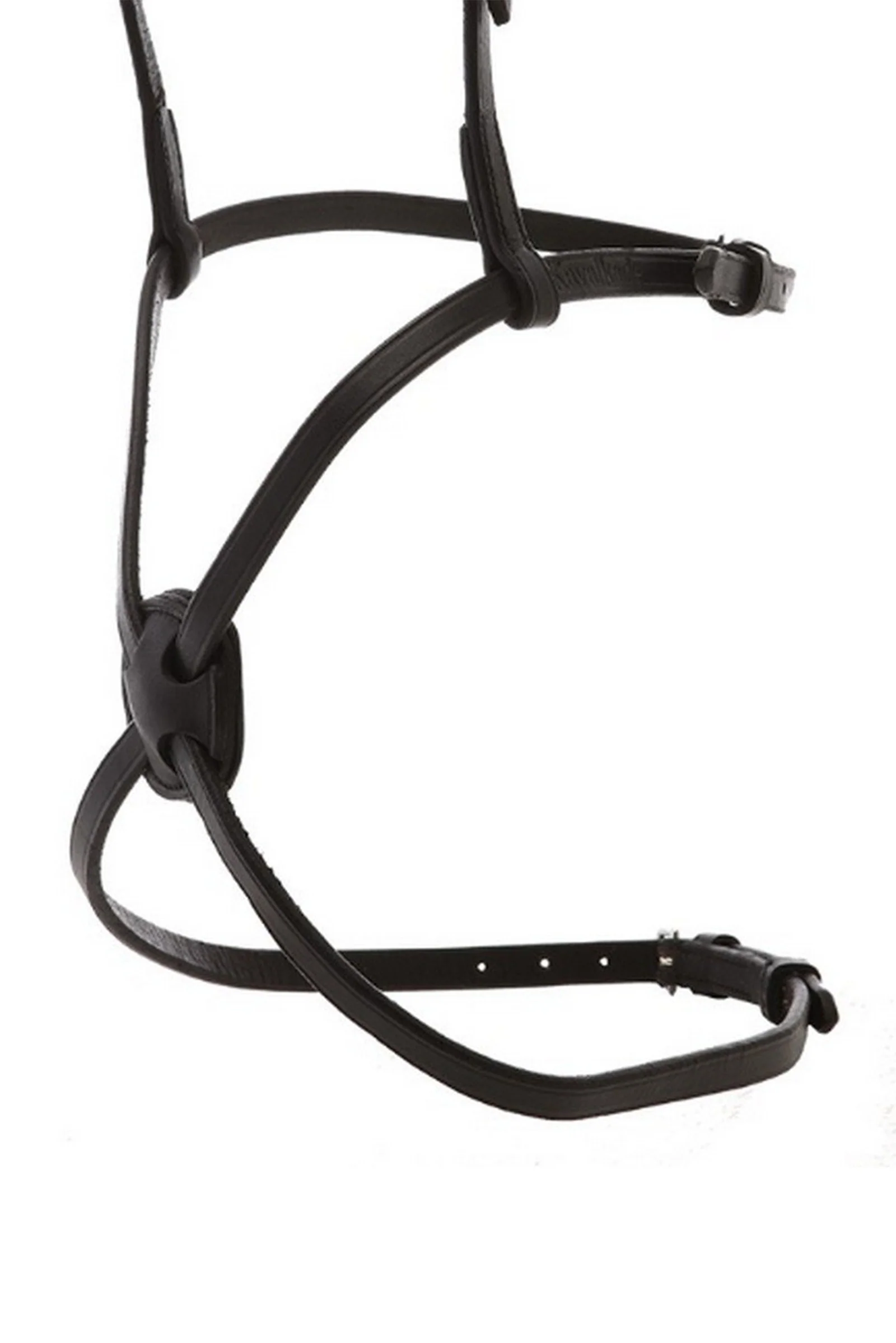 Mexican noseband Brown F