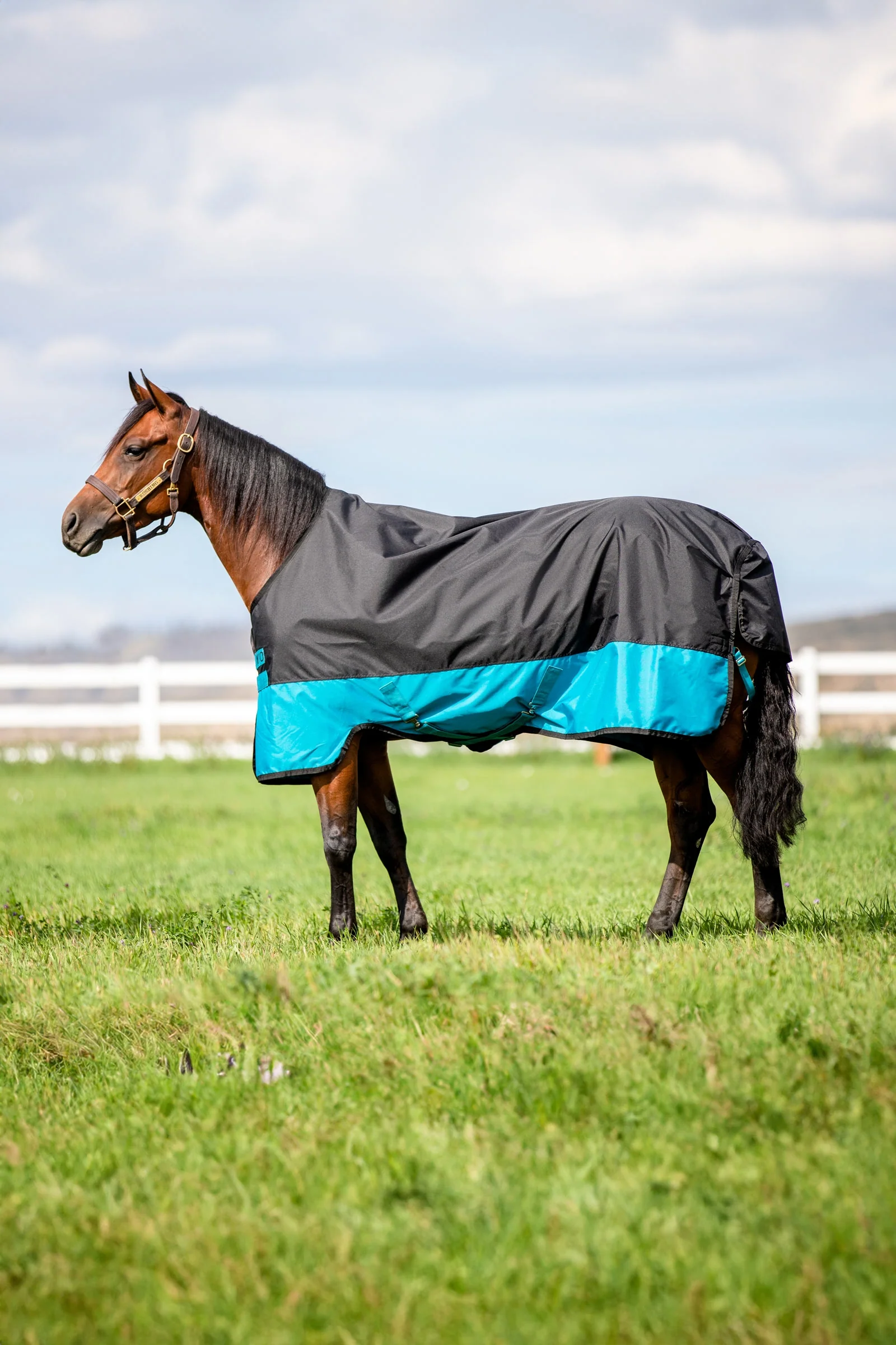 Mio Turnout Rug, 200g Black/Turquoise Blue 85