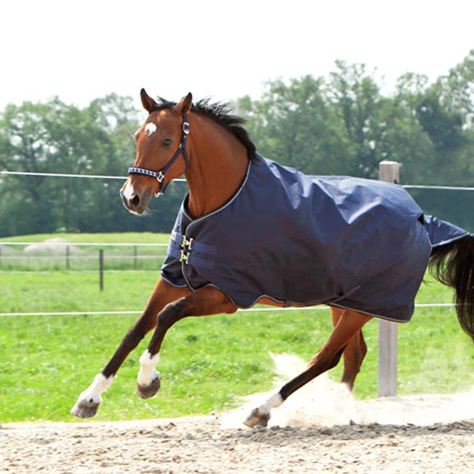 Montreal Turnout Rug, 100g Dark Blue 165