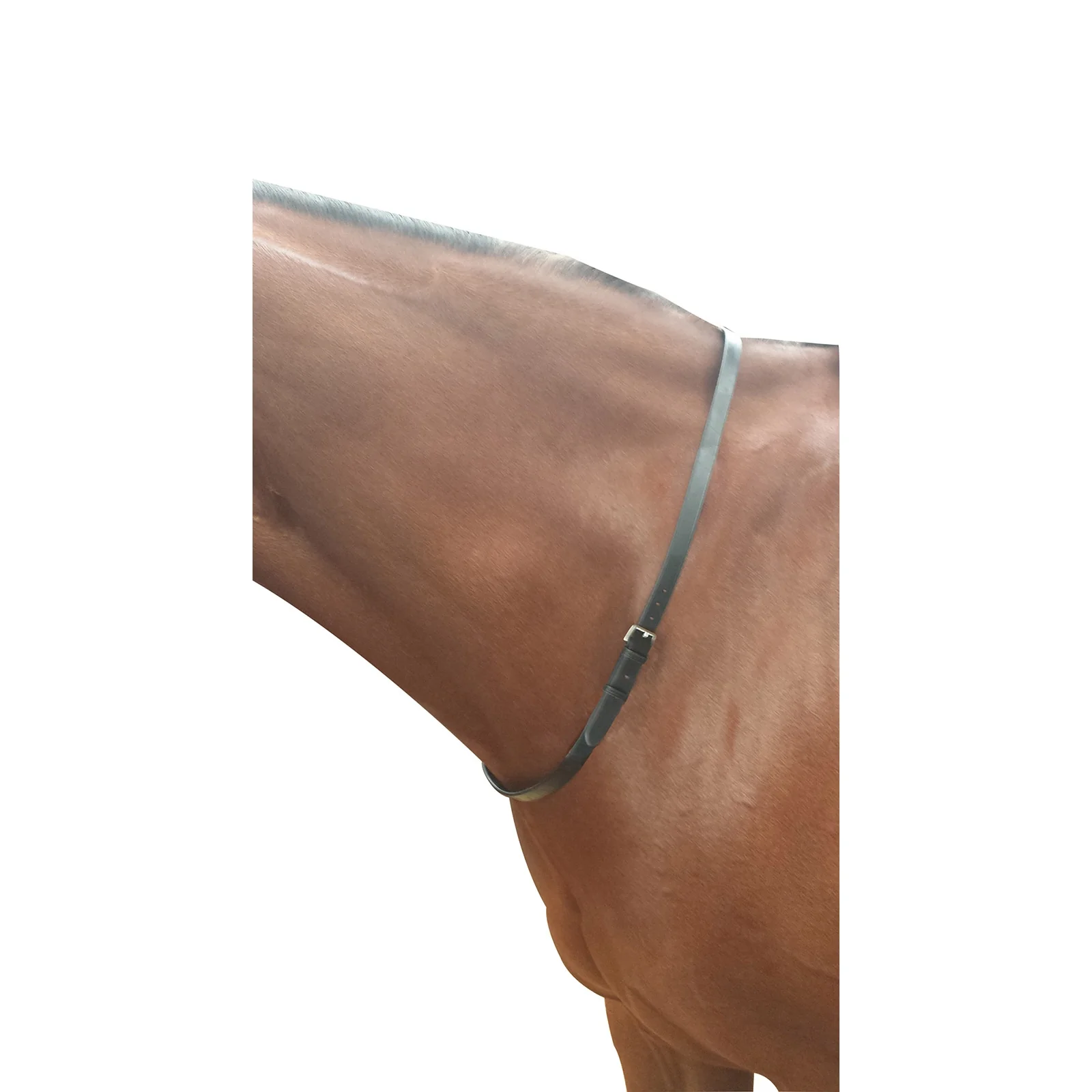 Neck Strap Black P