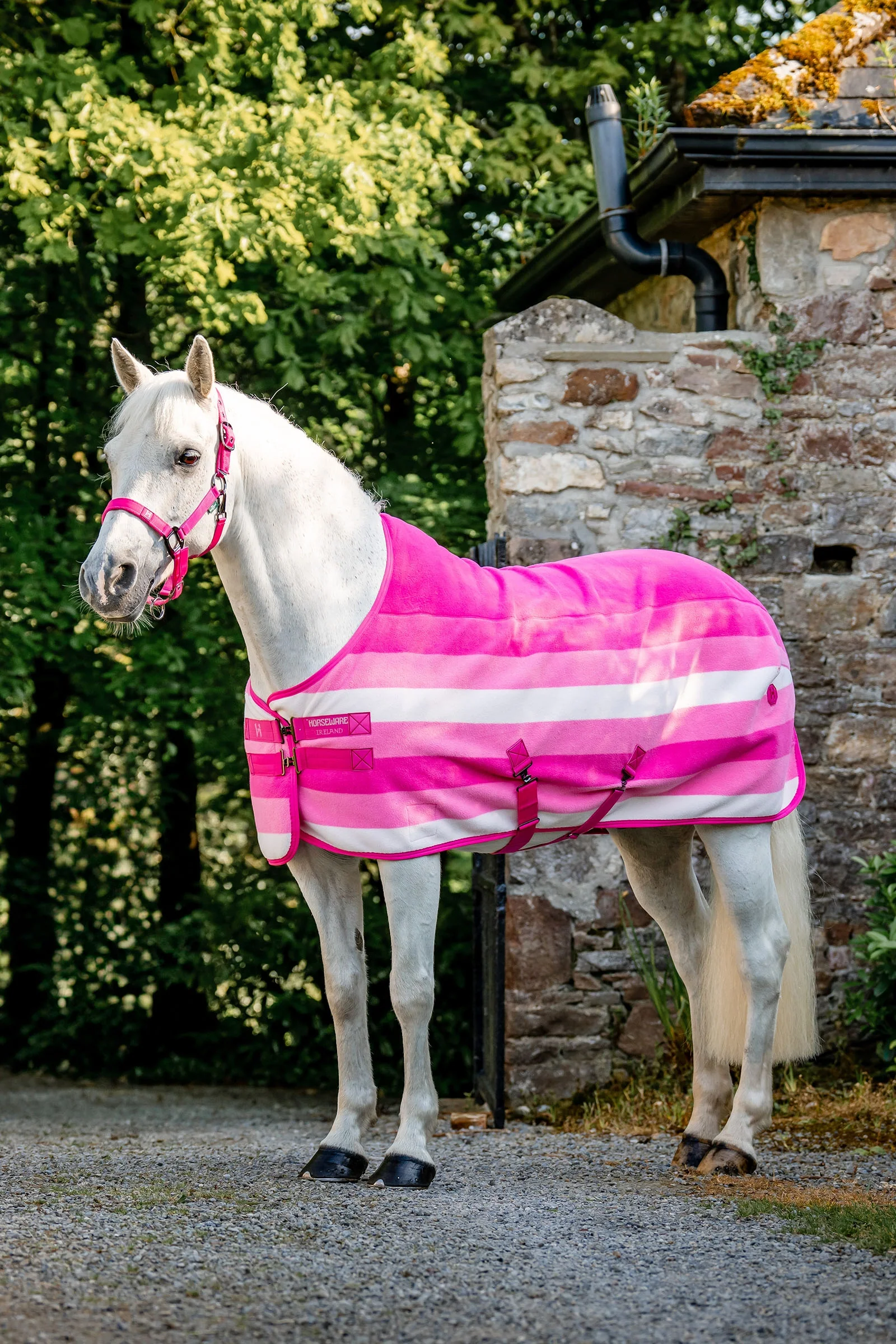 Newmarket Fleece Cooler Witney Pink 115