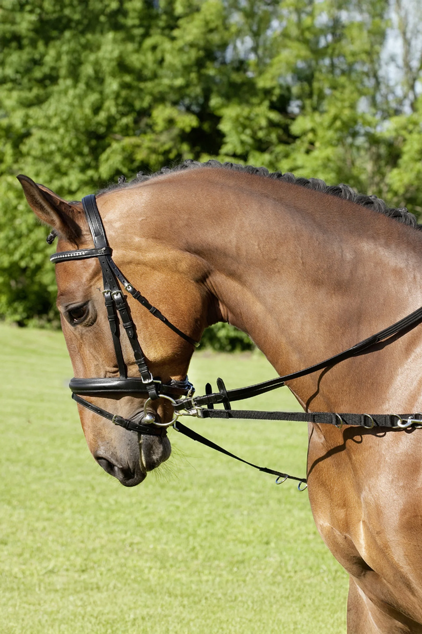 Nylon Side Reins With Silver Fittings Black S